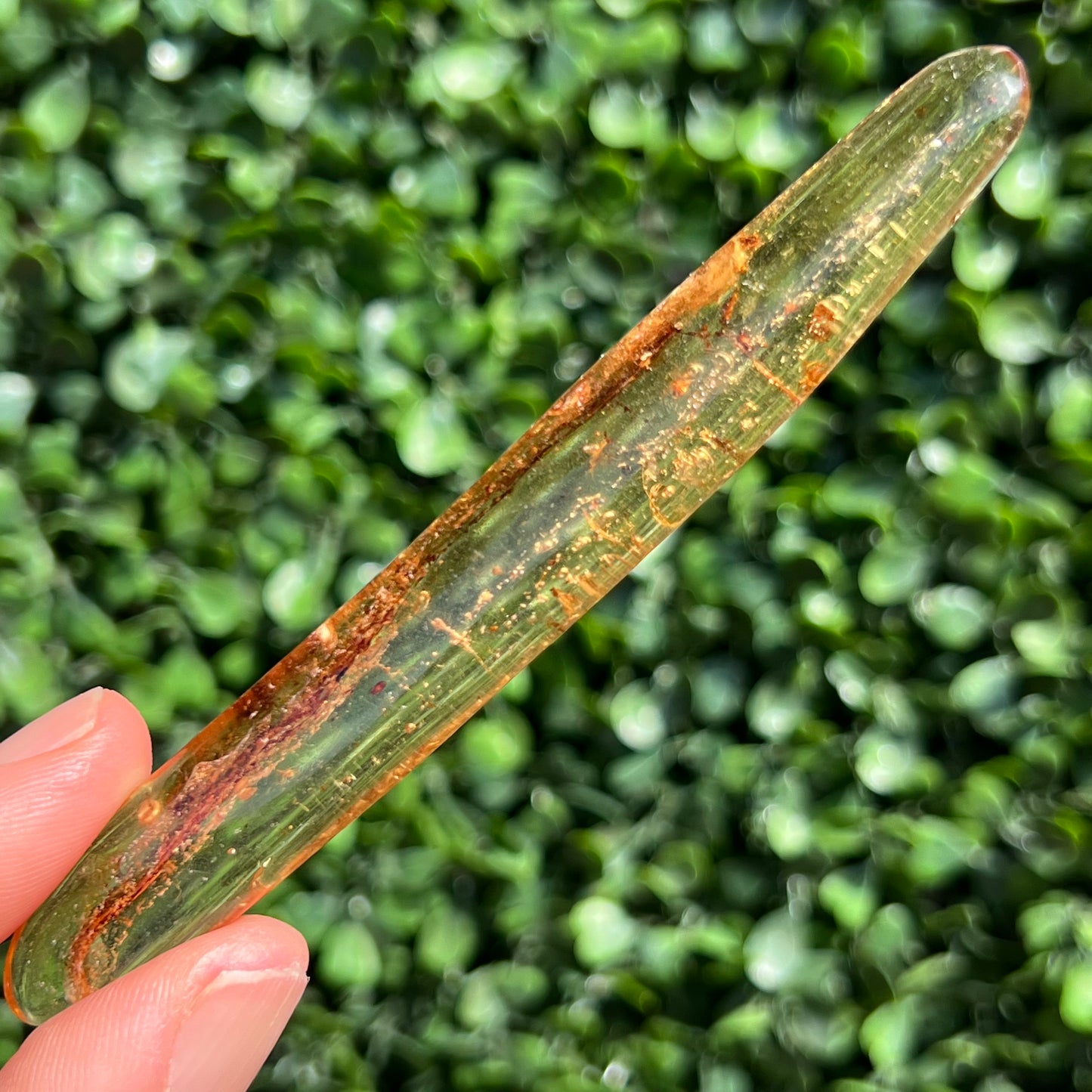 COPAL AMBER RARE SPECIMEN
