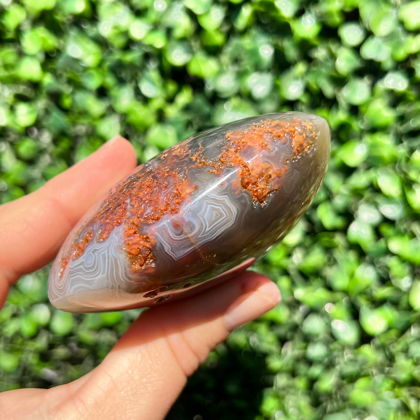 Orca Agate Heart