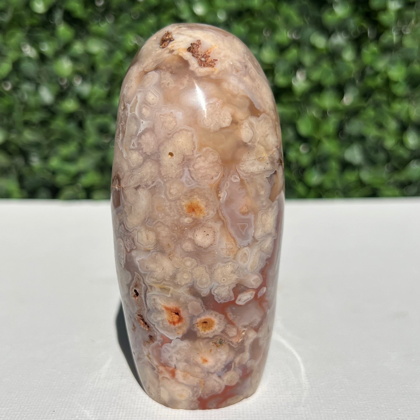 Flower Agate Free Form