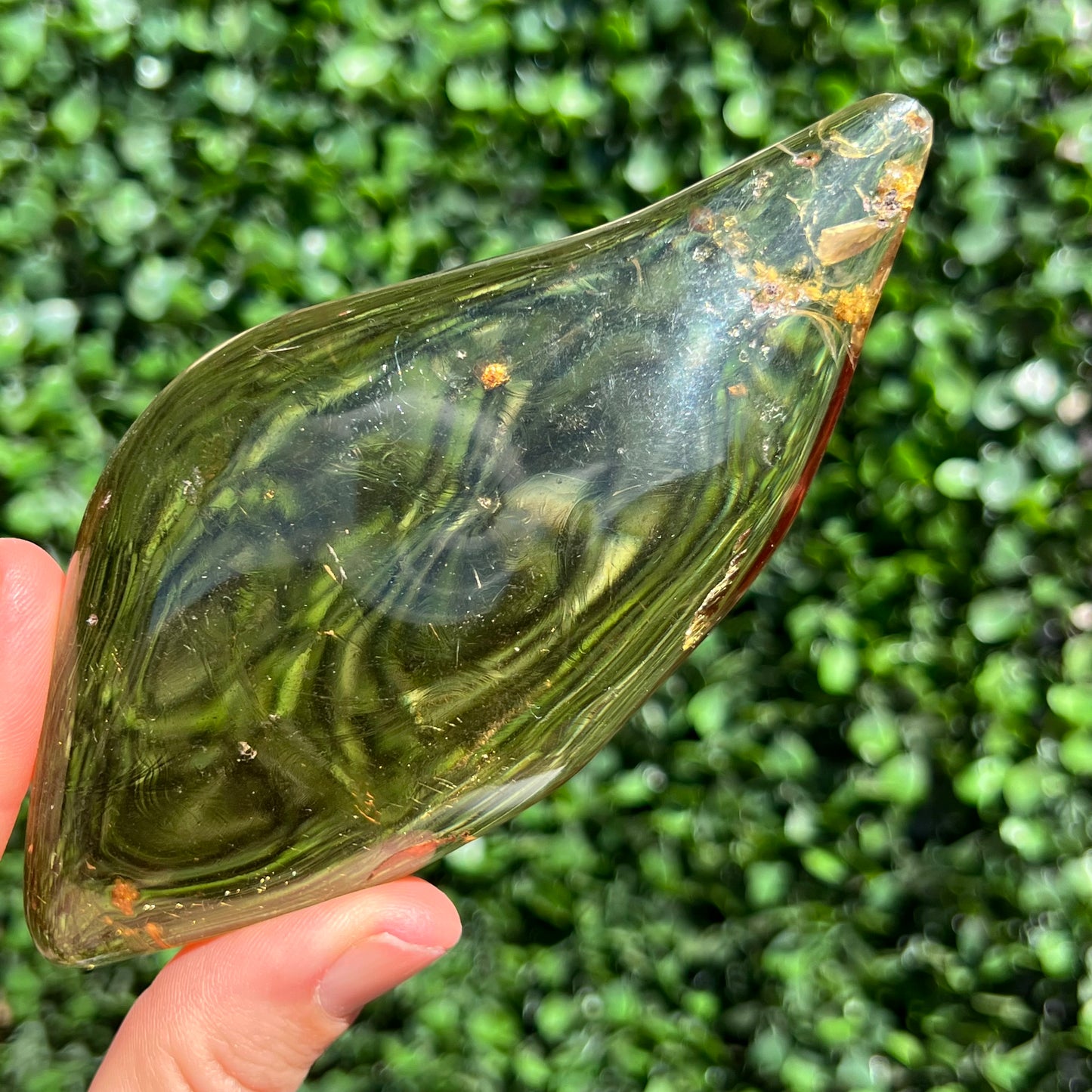 COPAL AMBER RARE SPECIMEN