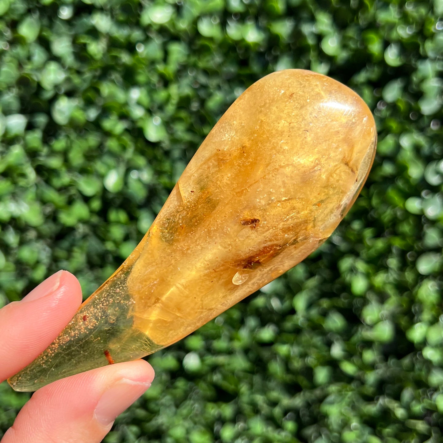 COPAL AMBER RARE SPECIMEN