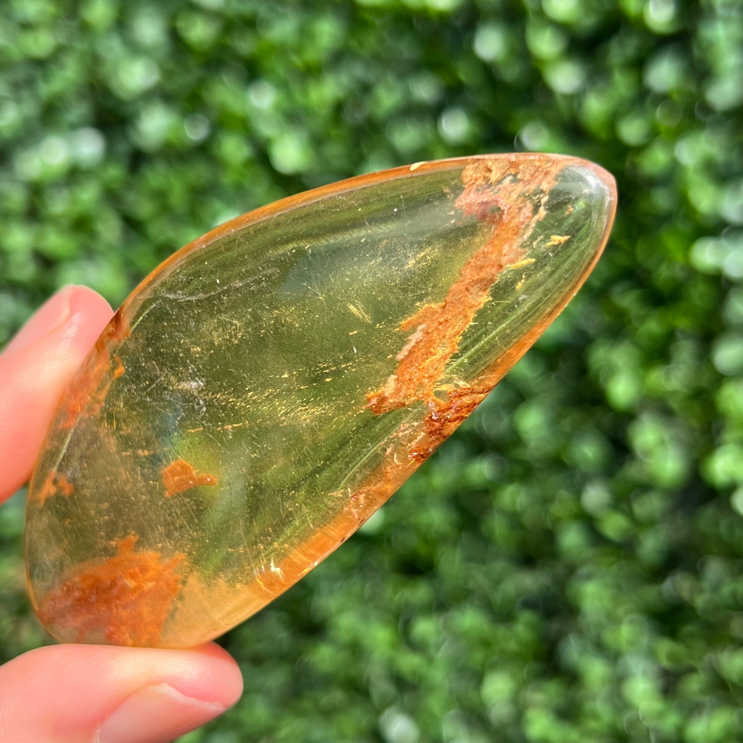 COPAL AMBER RARE SPECIMEN