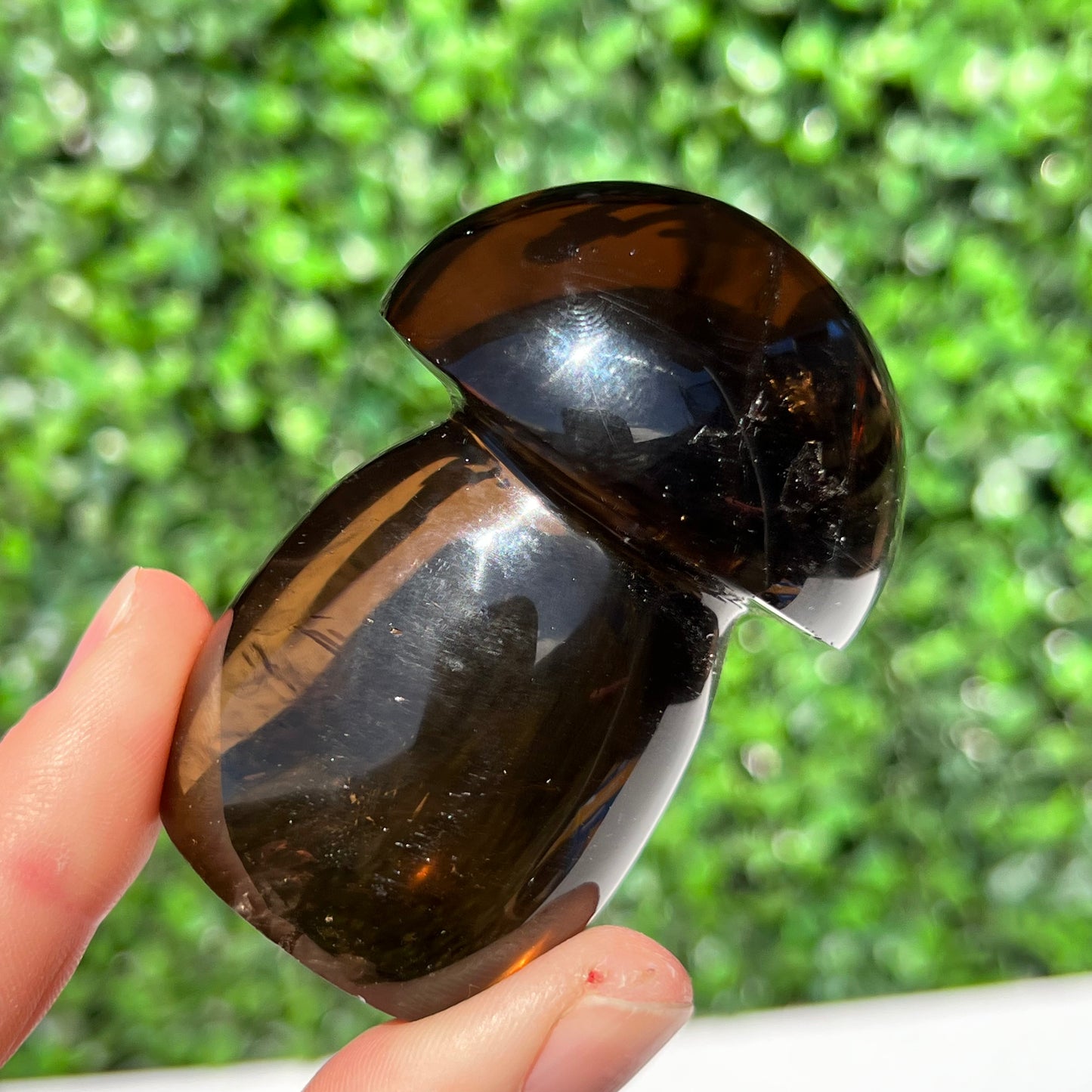 Smokey Quartz Mushroom