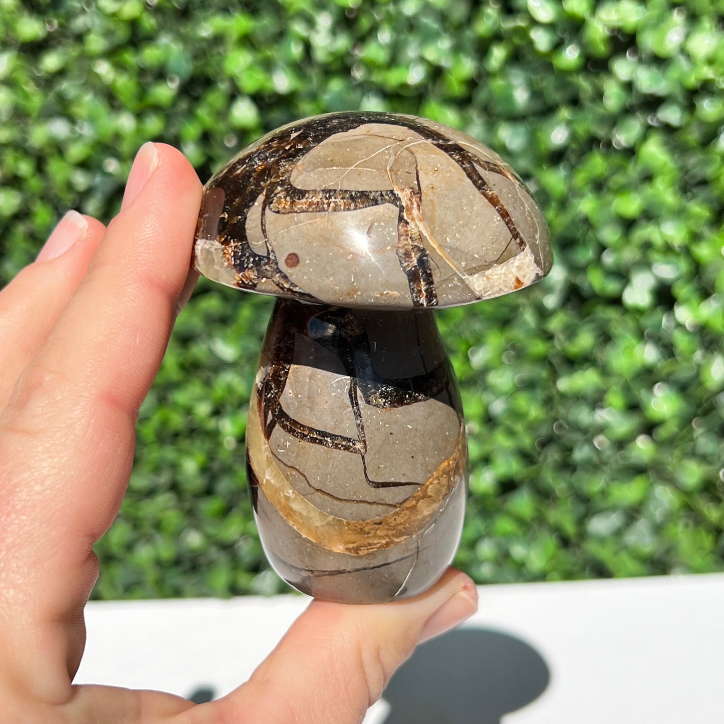 Septarian Yellow Calcite Mushroom