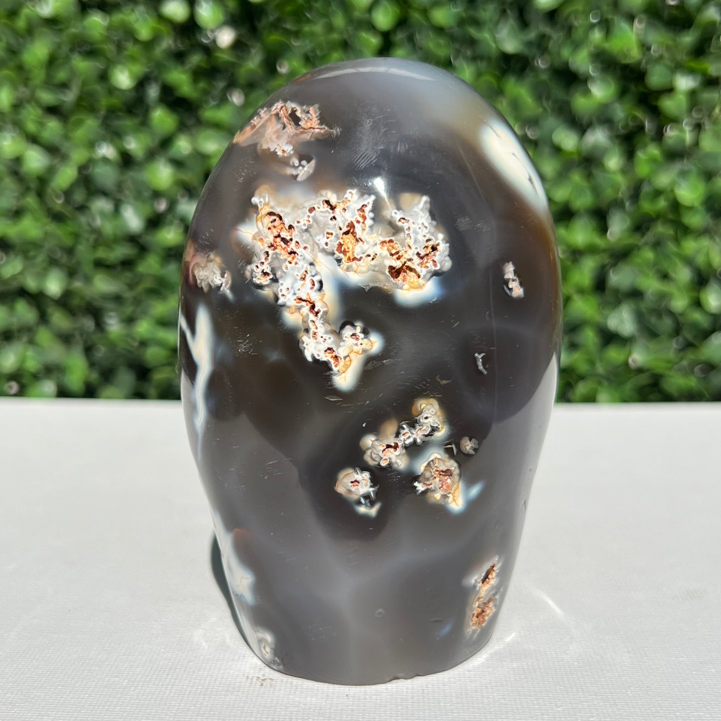 Orca Agate Free Form