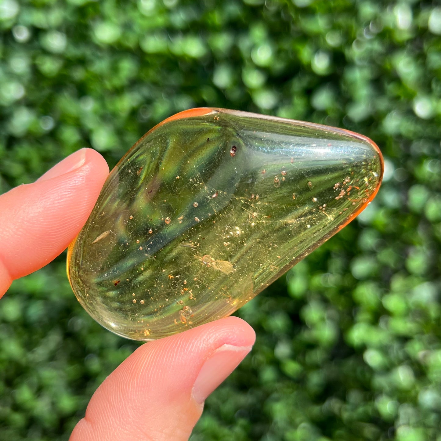 COPAL AMBER RARE SPECIMEN
