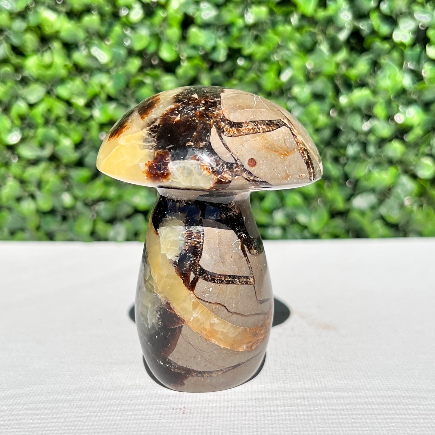 Septarian Yellow Calcite Mushroom
