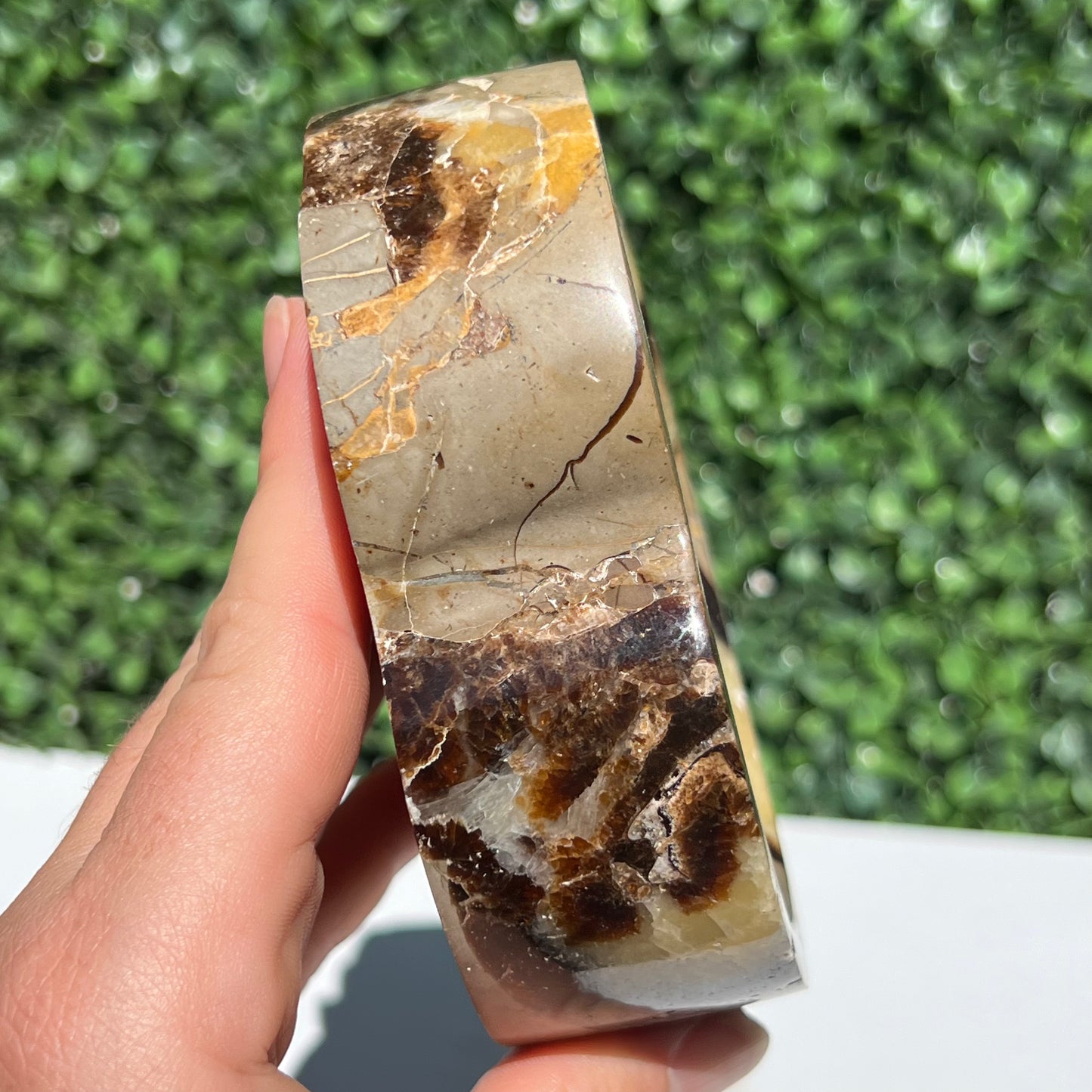 Septarian Yellow Calcite Bowl