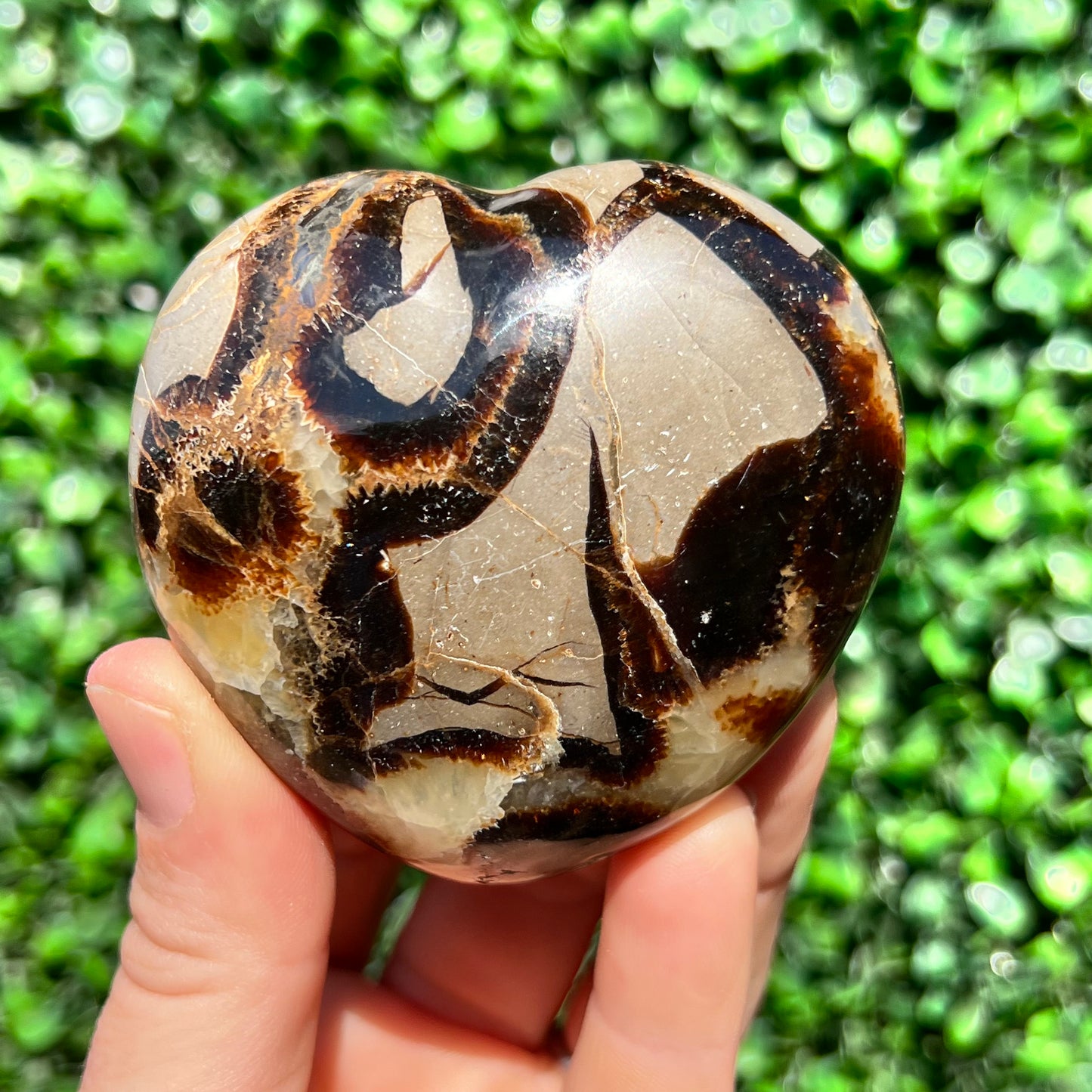 Septarian Yellow Calcite Heart
