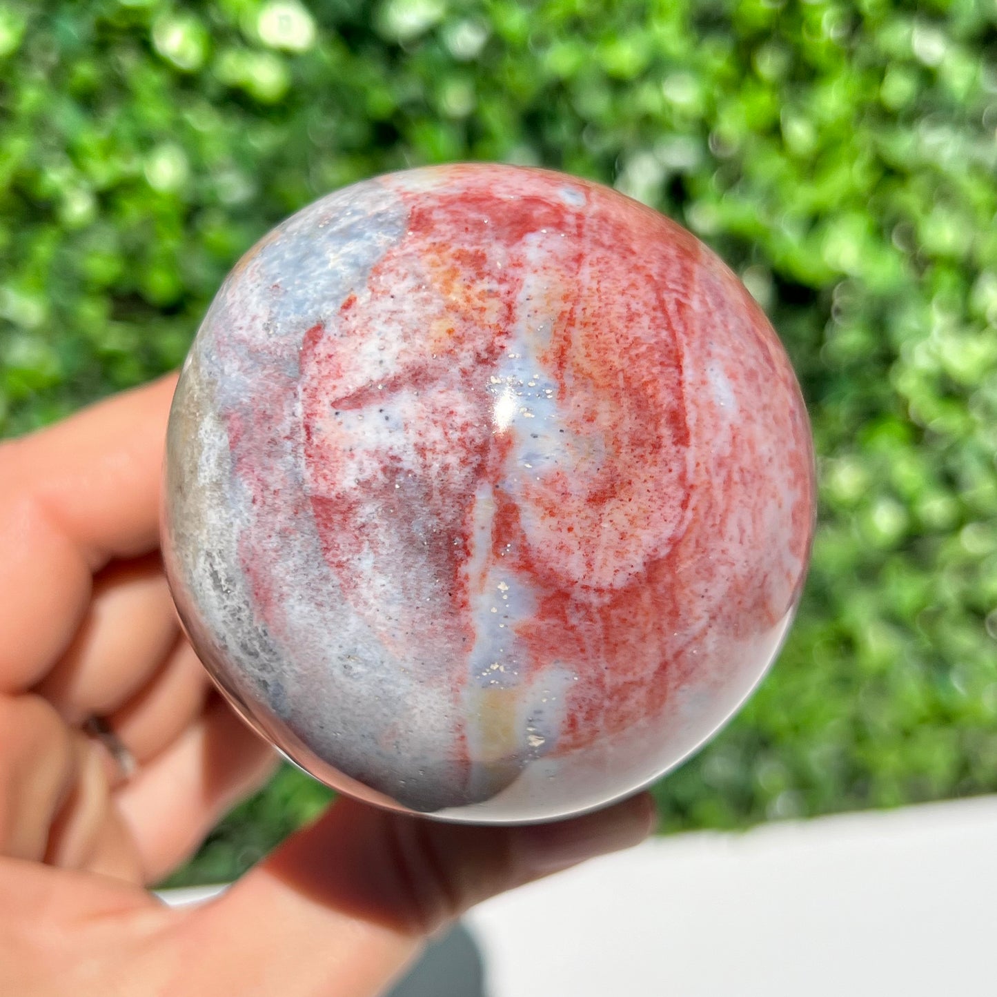 Ocean Jasper Mushroom