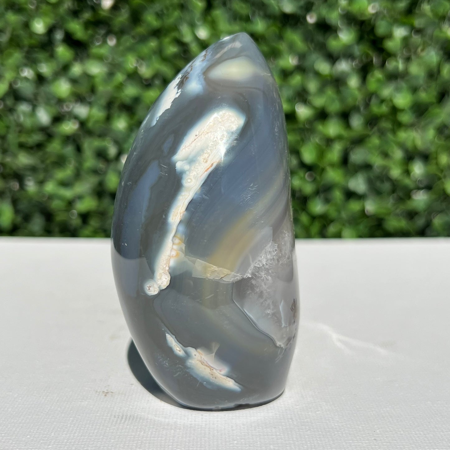 Orca Agate Free Form
