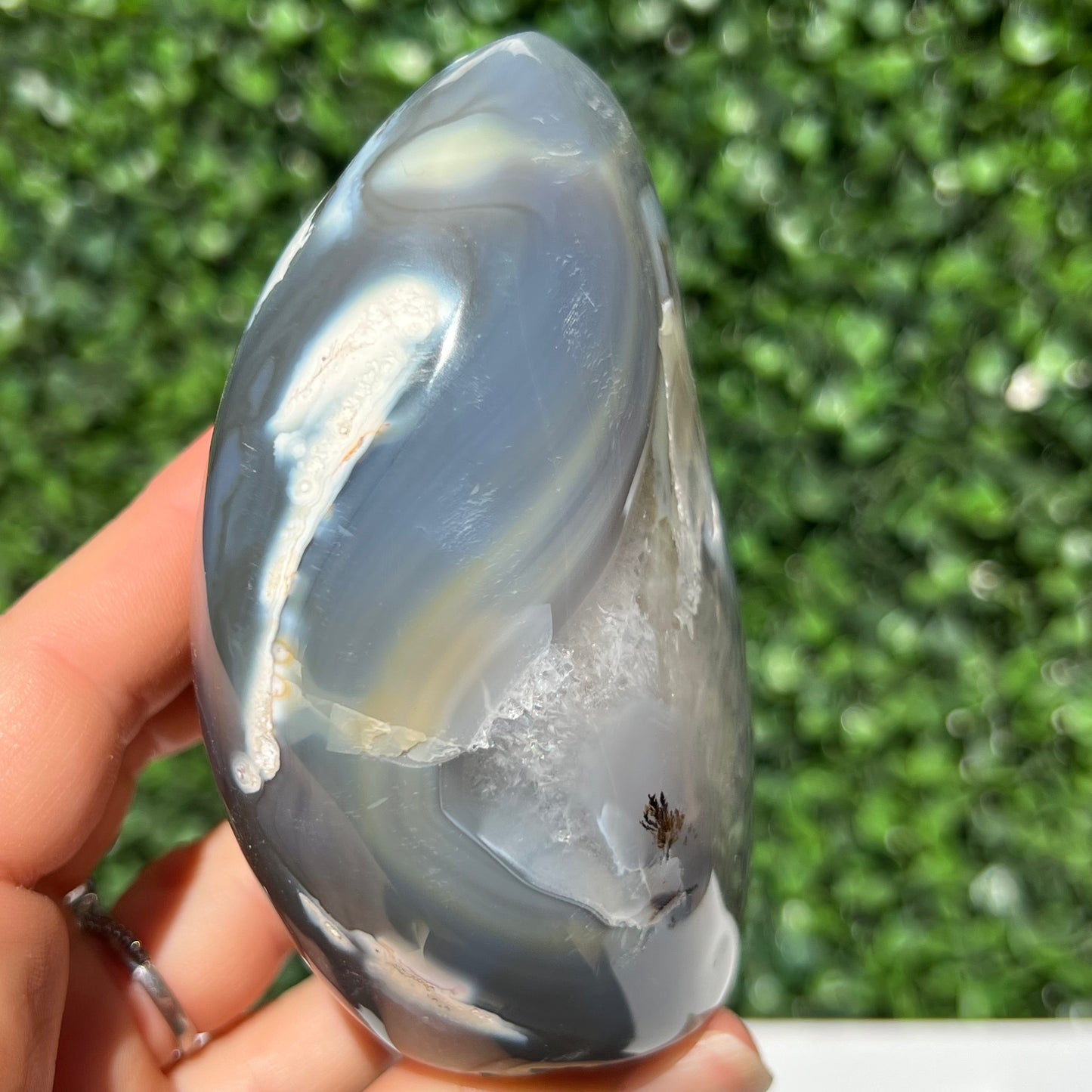 Orca Agate Free Form