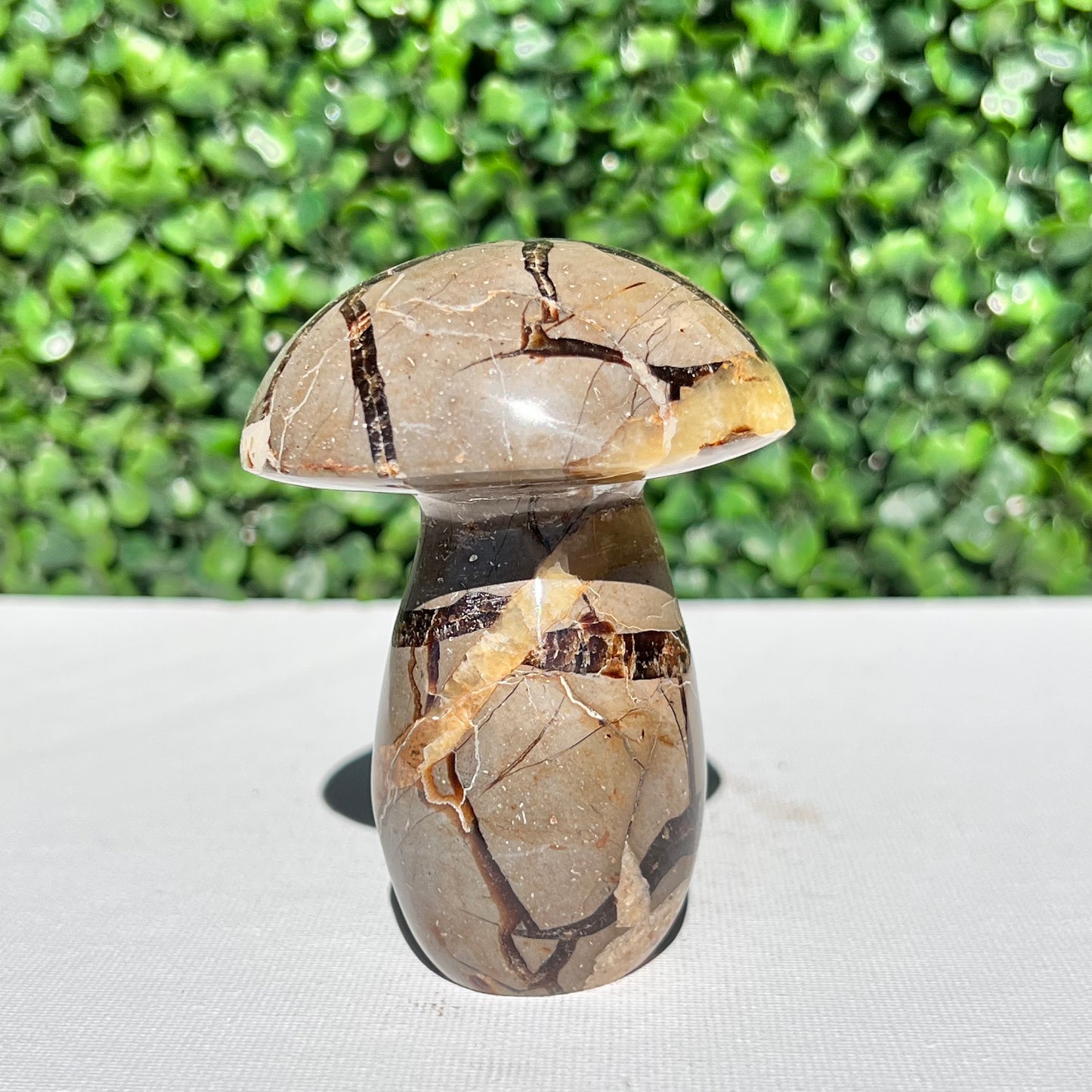 Septarian Yellow Calcite Mushroom