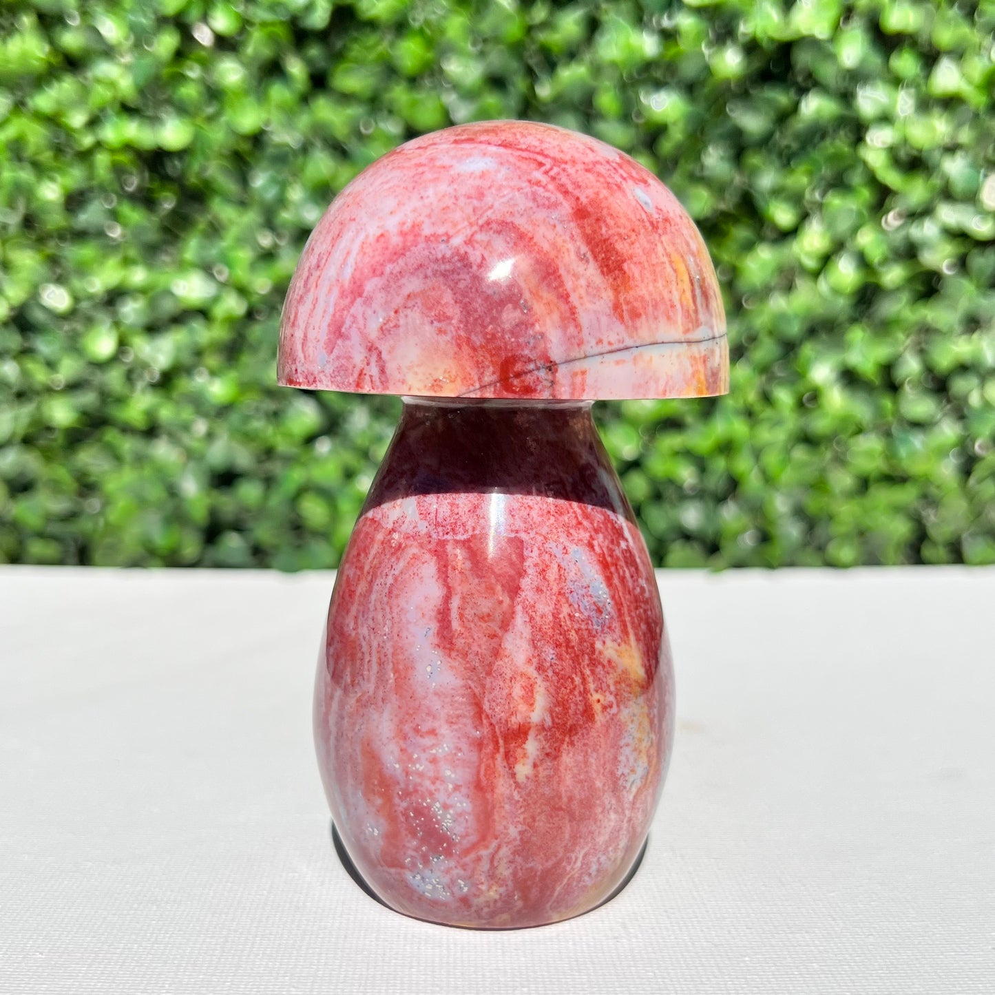 Ocean Jasper Mushroom
