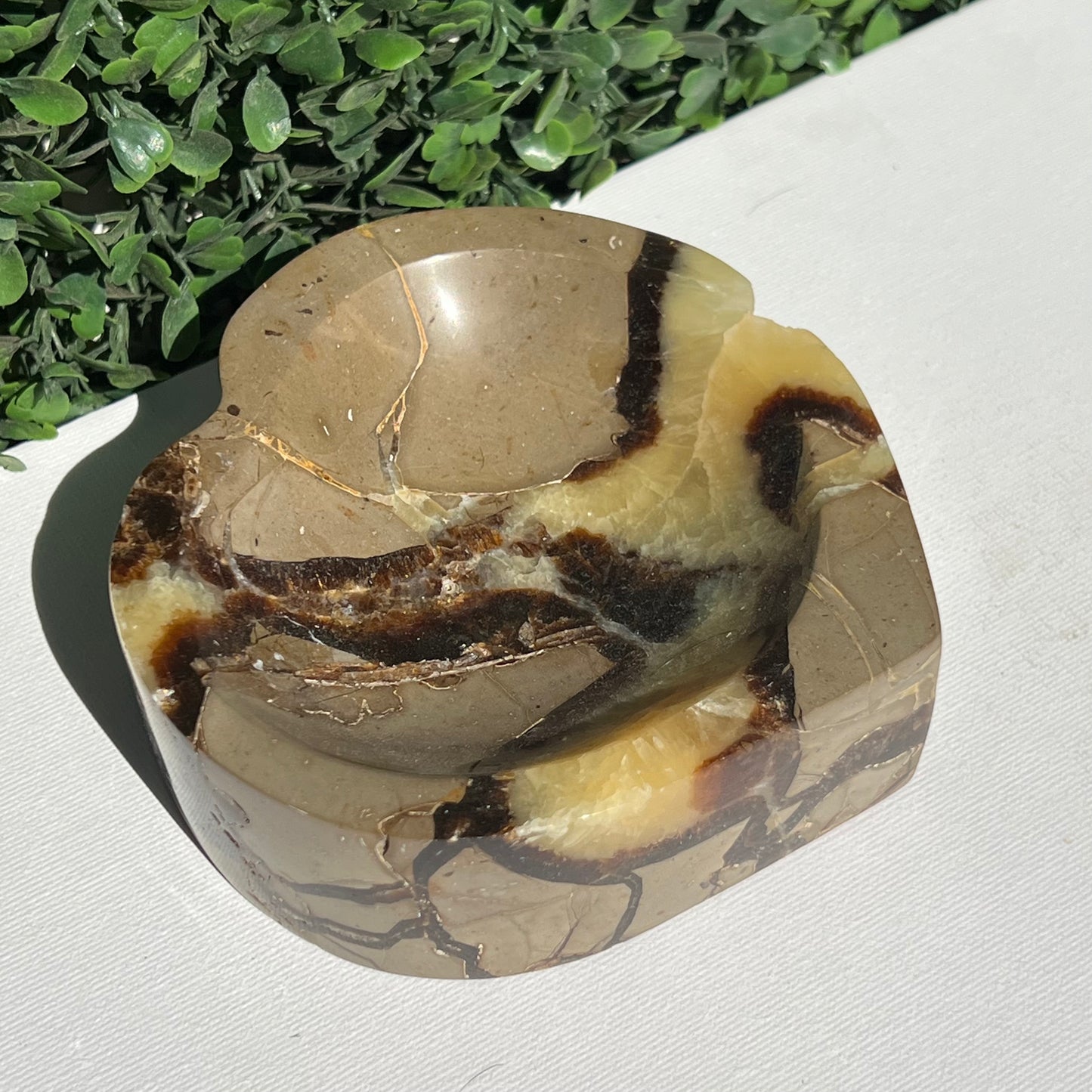 Septarian Yellow Calcite Bowl