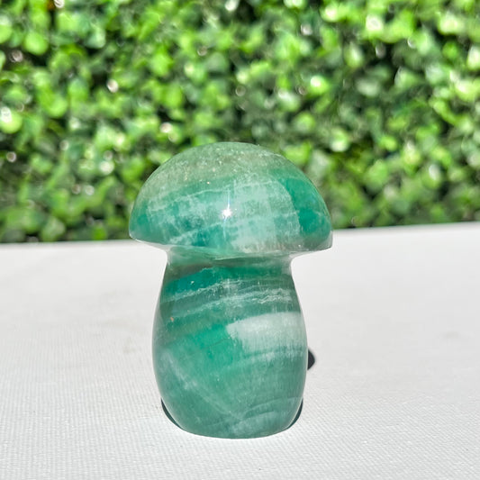 Fluorite Mushroom