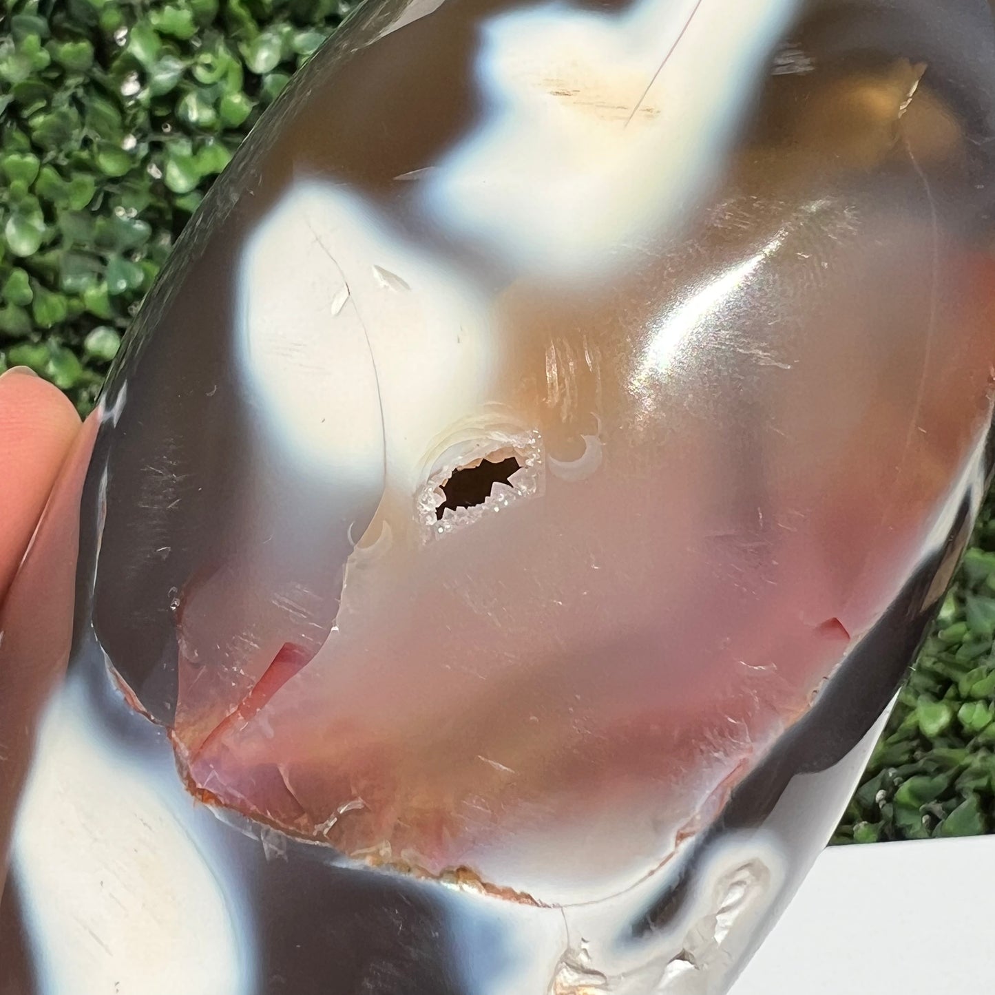 Orca Agate Free Form