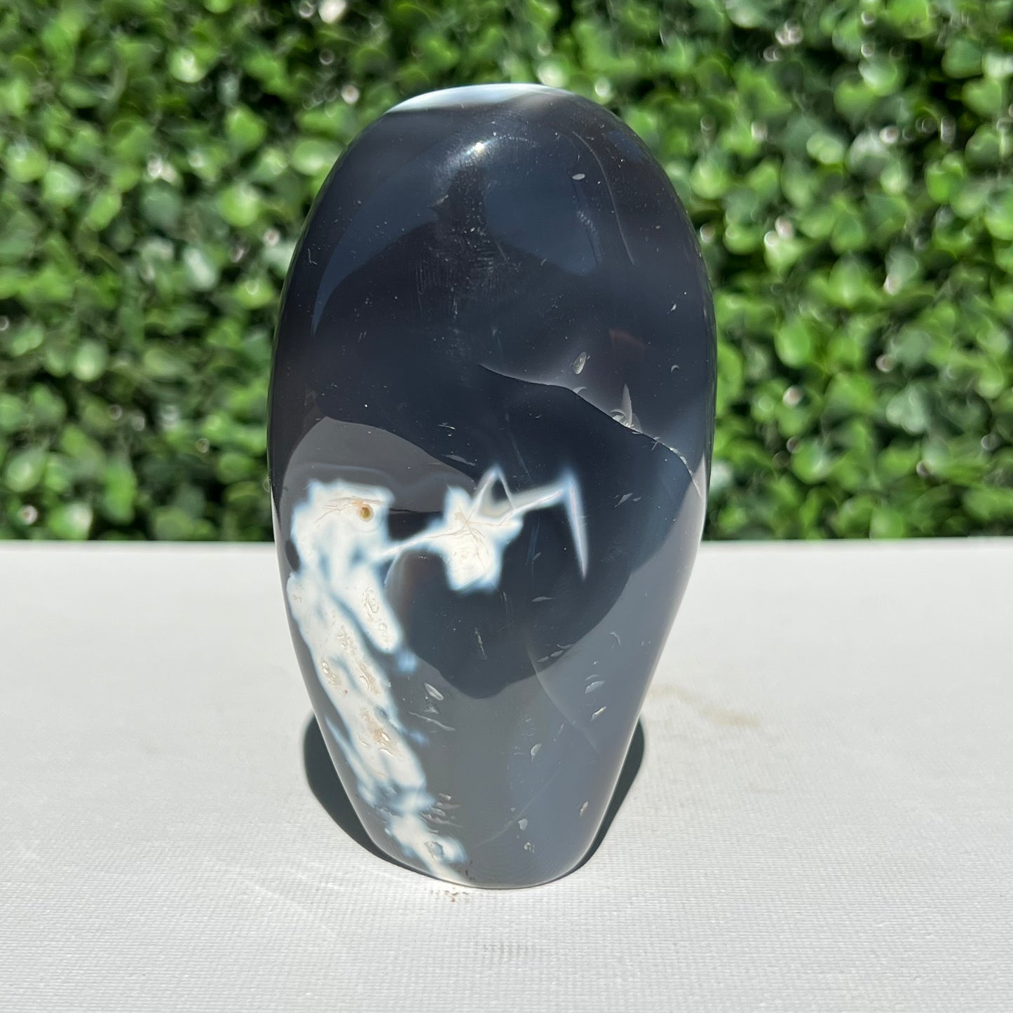 Orca Agate Free Form
