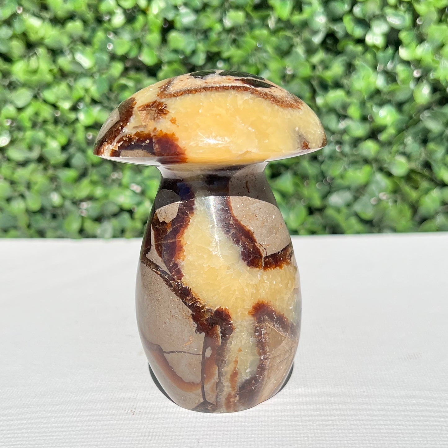 Septarian Yellow Calcite Mushroom