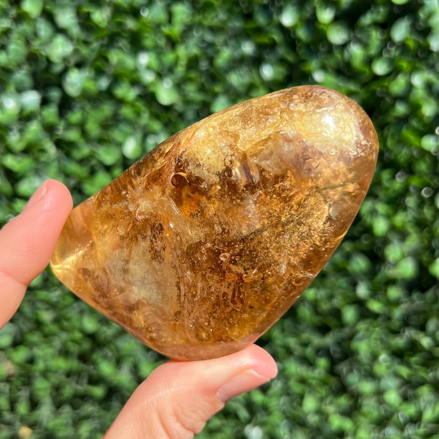 COPAL AMBER RARE SPECIMEN
