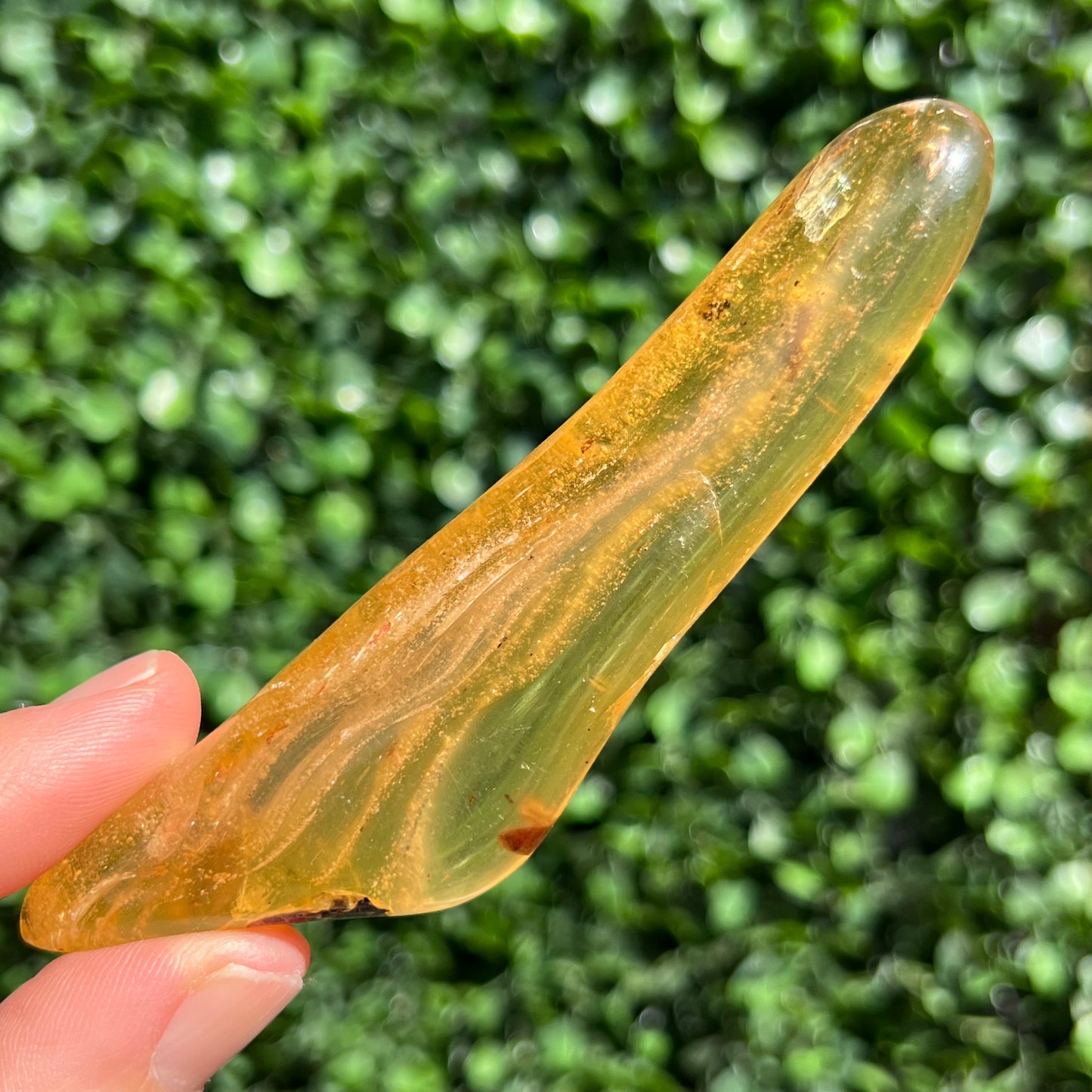 COPAL AMBER RARE SPECIMEN