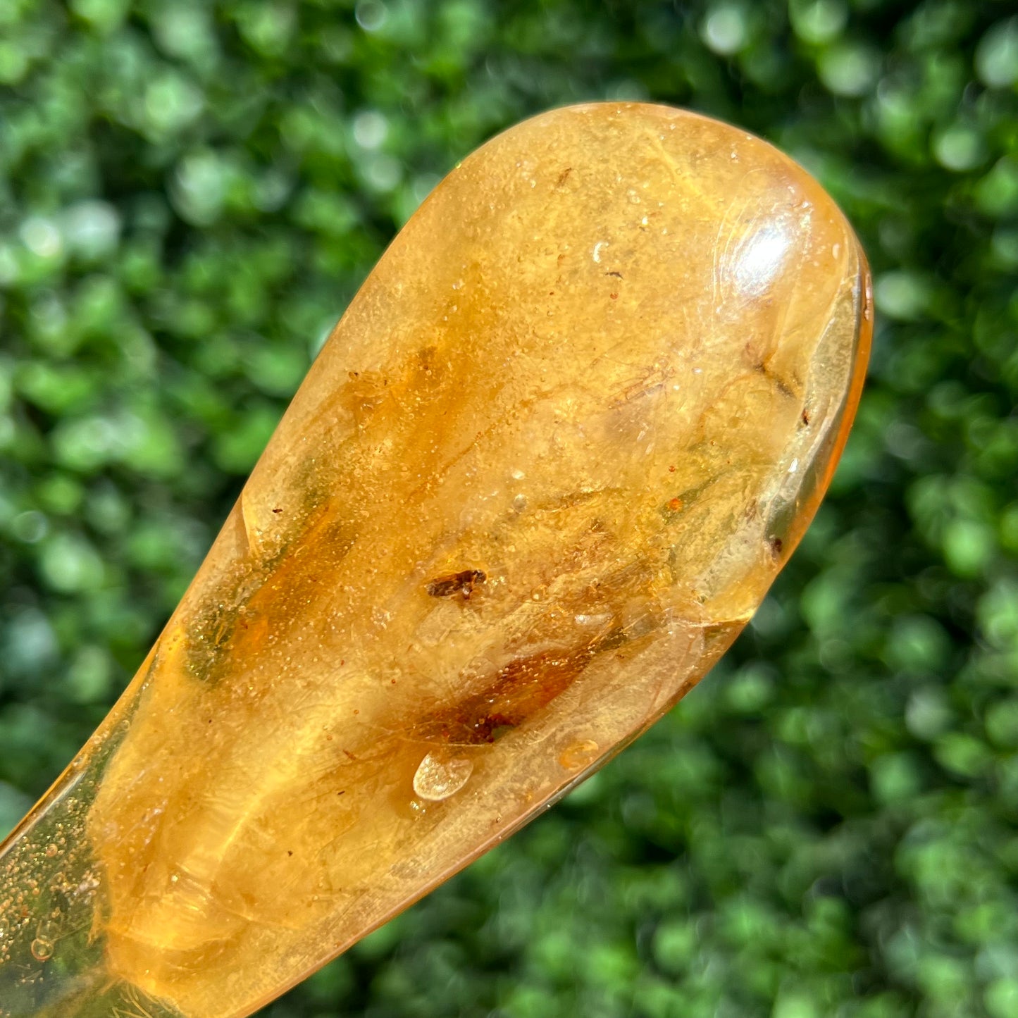 COPAL AMBER RARE SPECIMEN