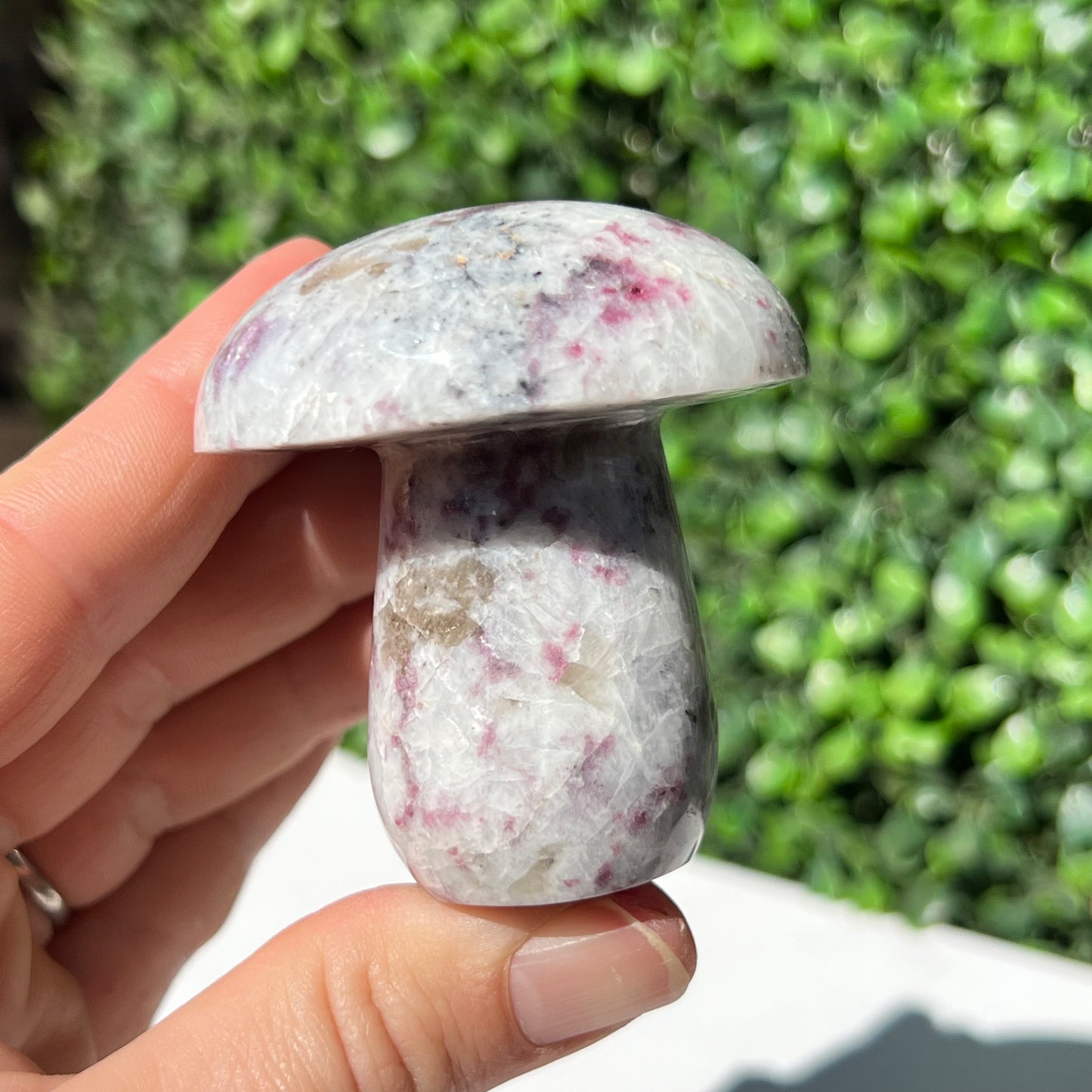 Eudialyte Mushroom