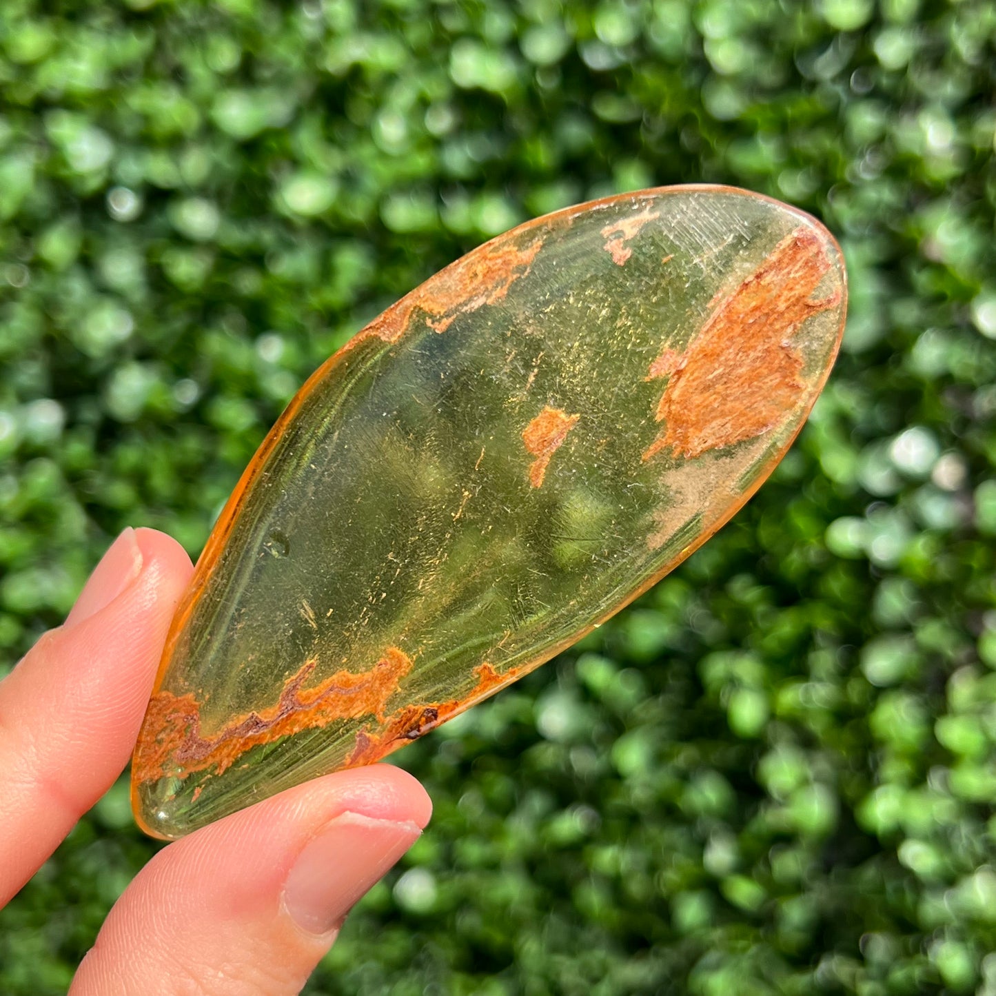 COPAL AMBER RARE SPECIMEN