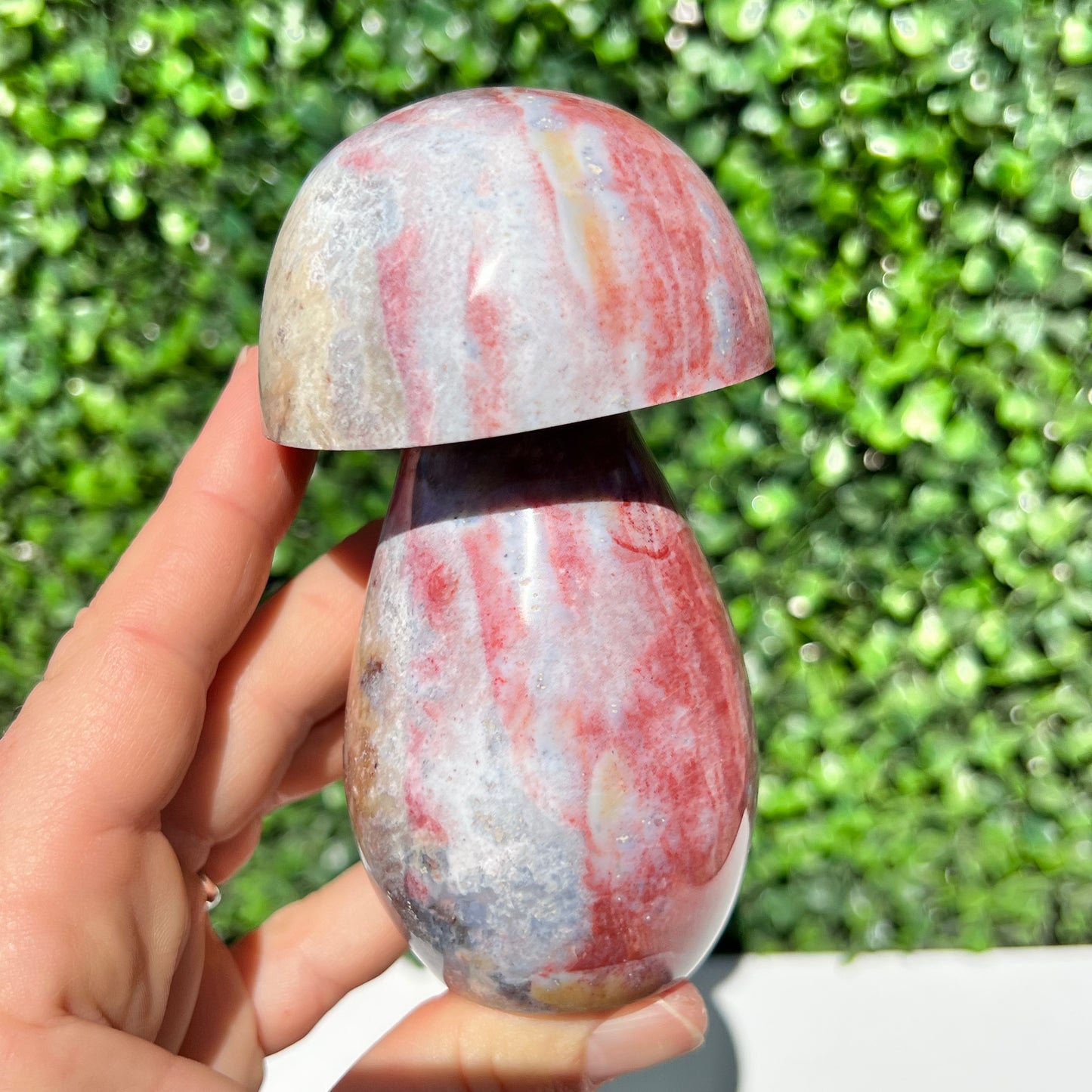 Ocean Jasper Mushroom