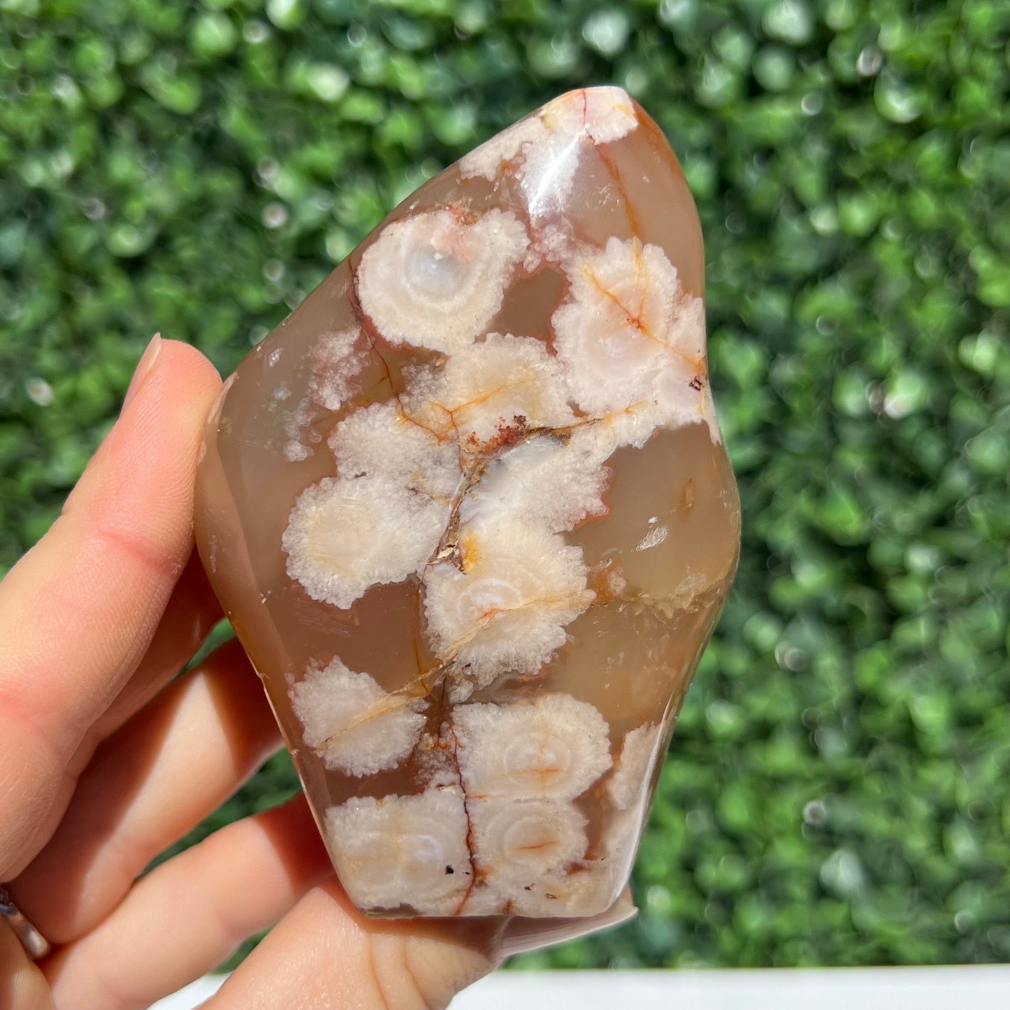 Flower Agate Free Form