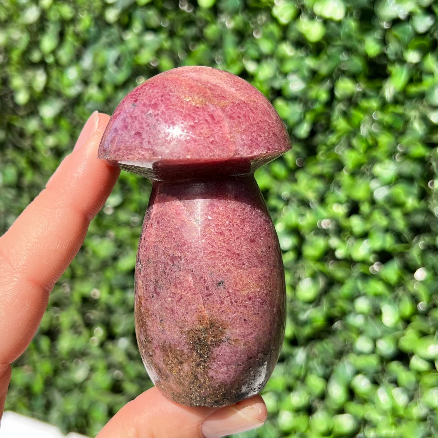 Rhodonite Mushroom