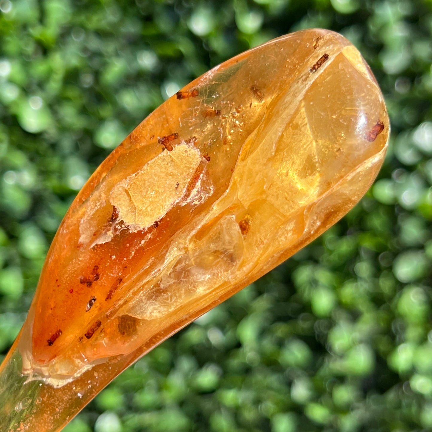 COPAL AMBER RARE SPECIMEN