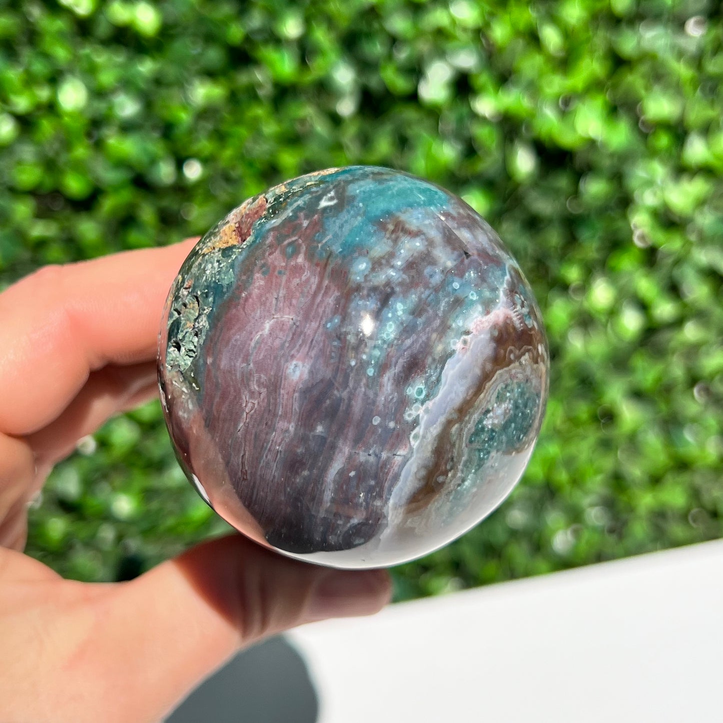 Ocean Jasper Mushroom
