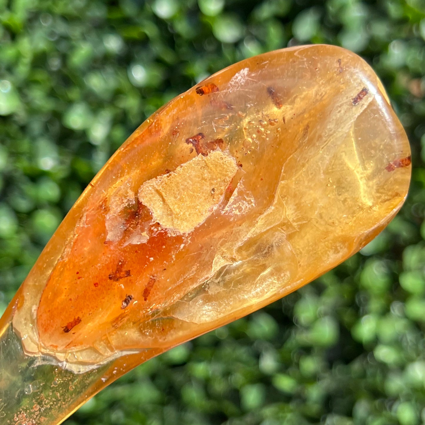 COPAL AMBER RARE SPECIMEN