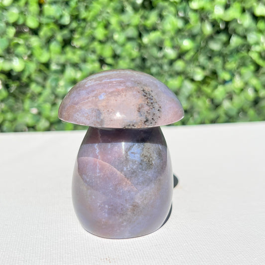 Polychrome Desert Japser Mushroom