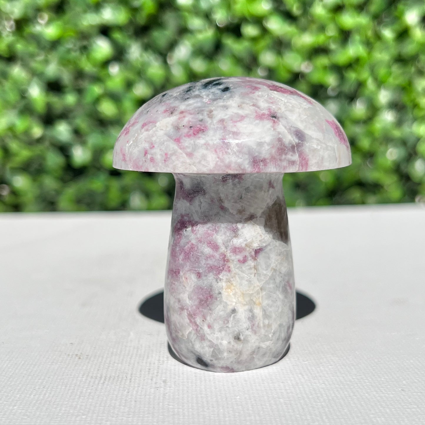 Eudialyte Mushroom