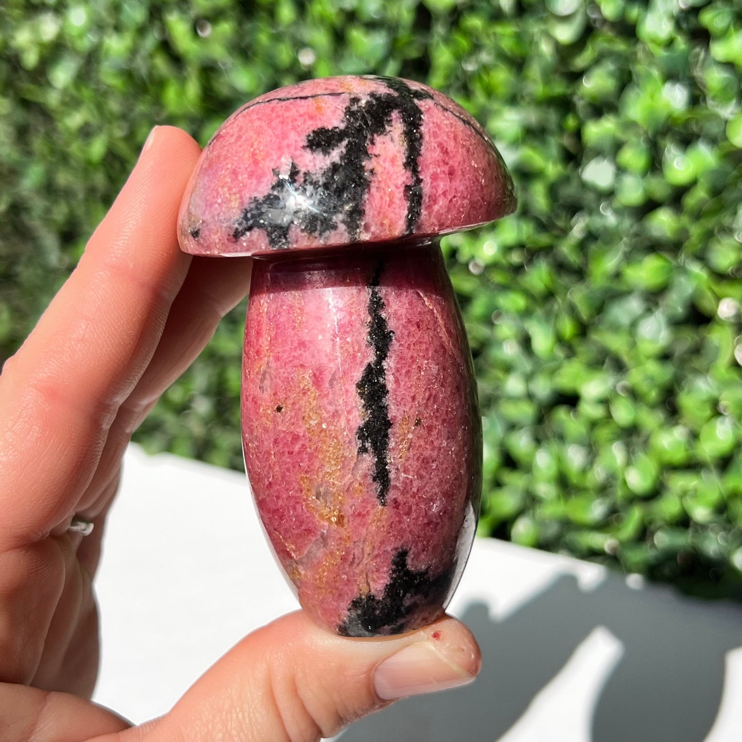 Rhodonite Mushroom