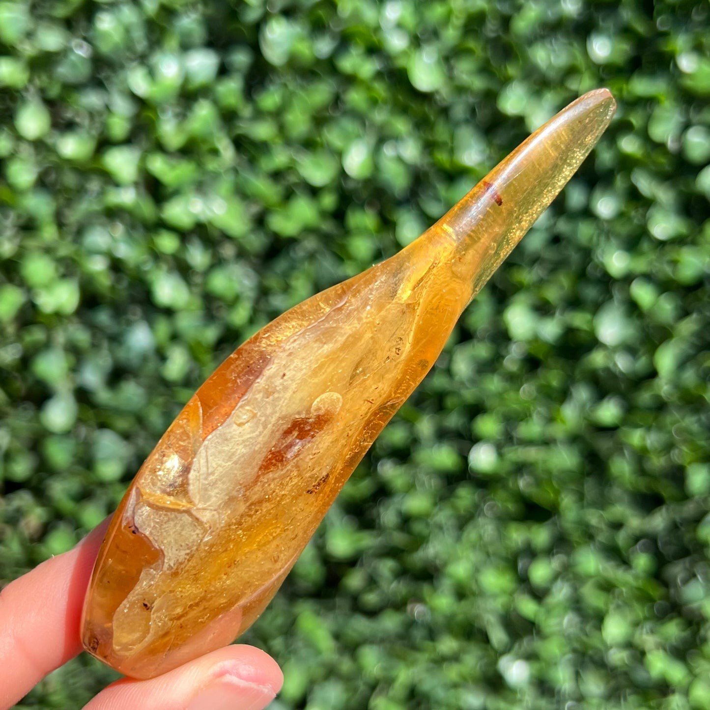 COPAL AMBER RARE SPECIMEN