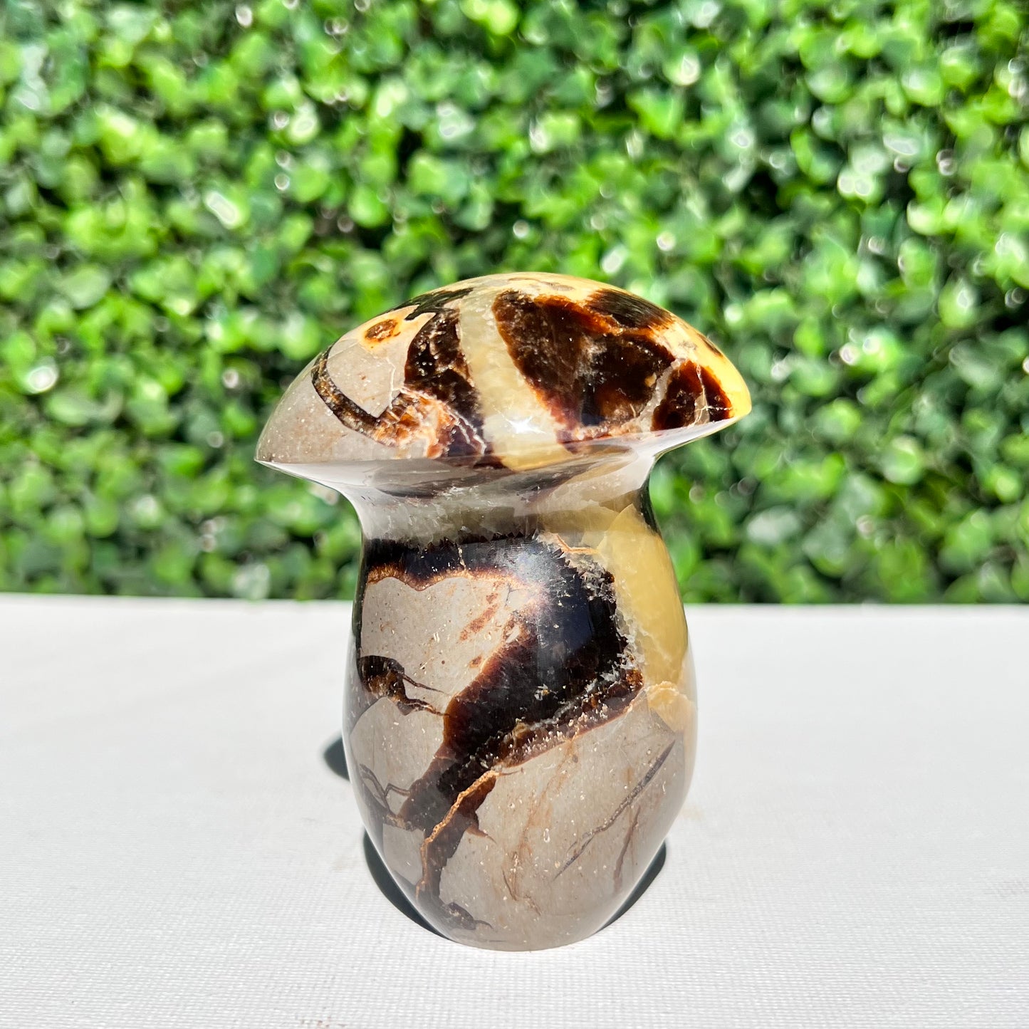 Septarian Yellow Calcite Mushroom