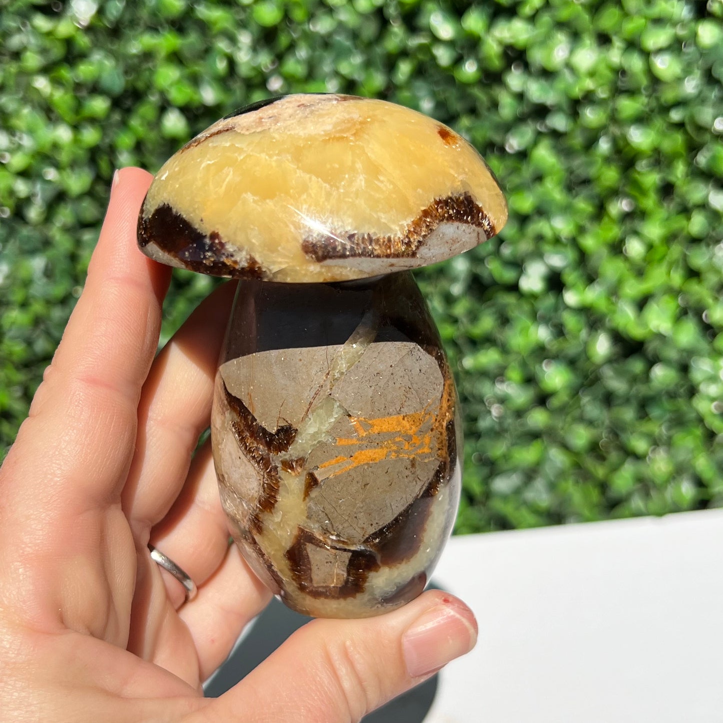 Septarian Yellow Calcite Mushroom