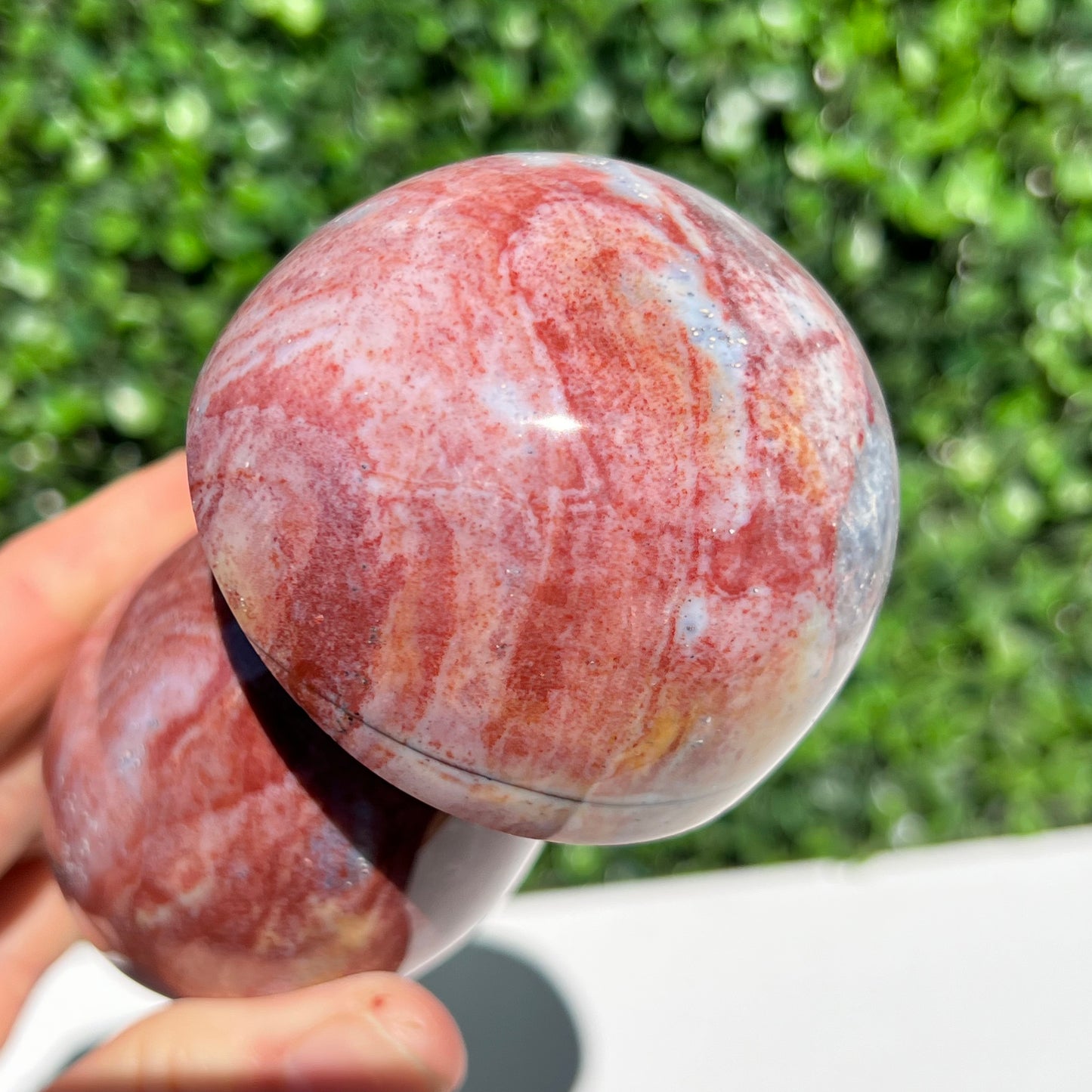 Ocean Jasper Mushroom