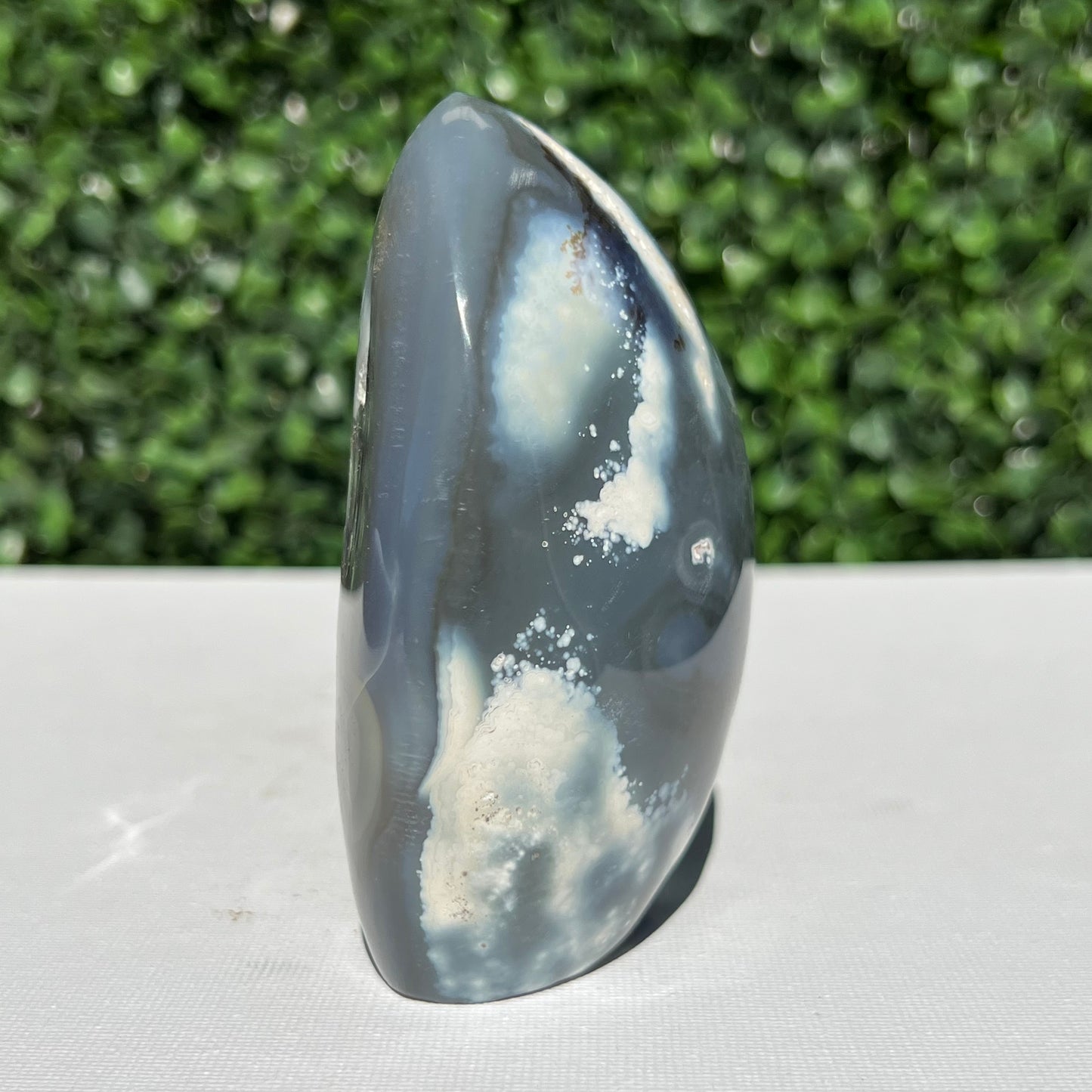 Orca Agate Free Form