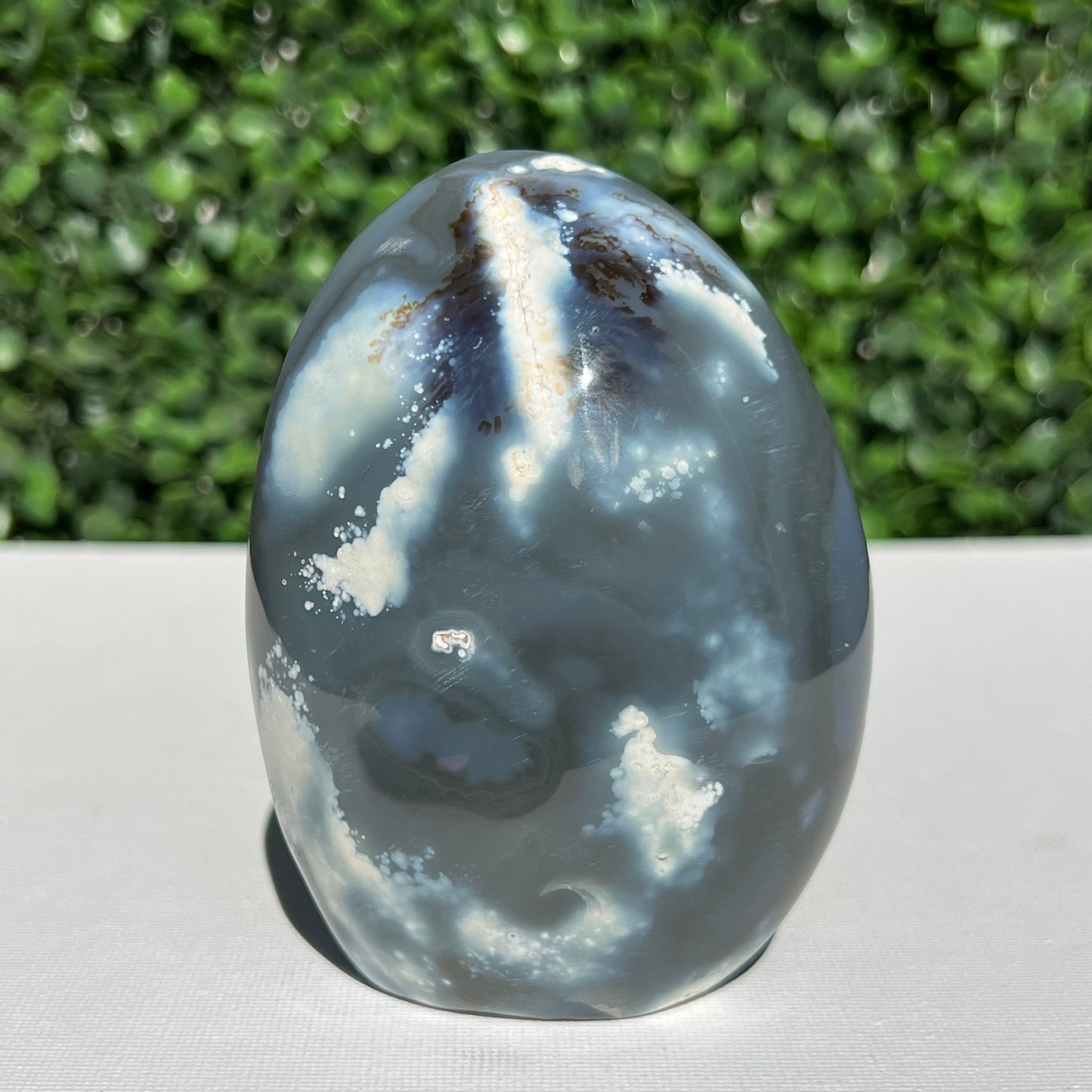 Orca Agate Free Form