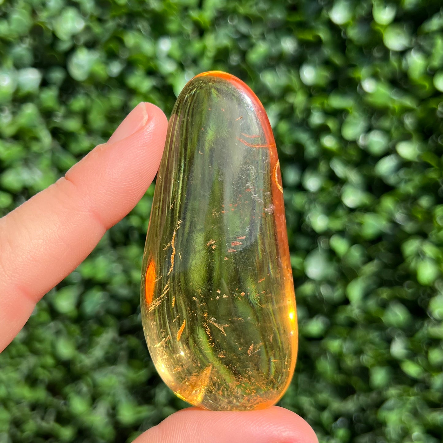 COPAL AMBER RARE SPECIMEN