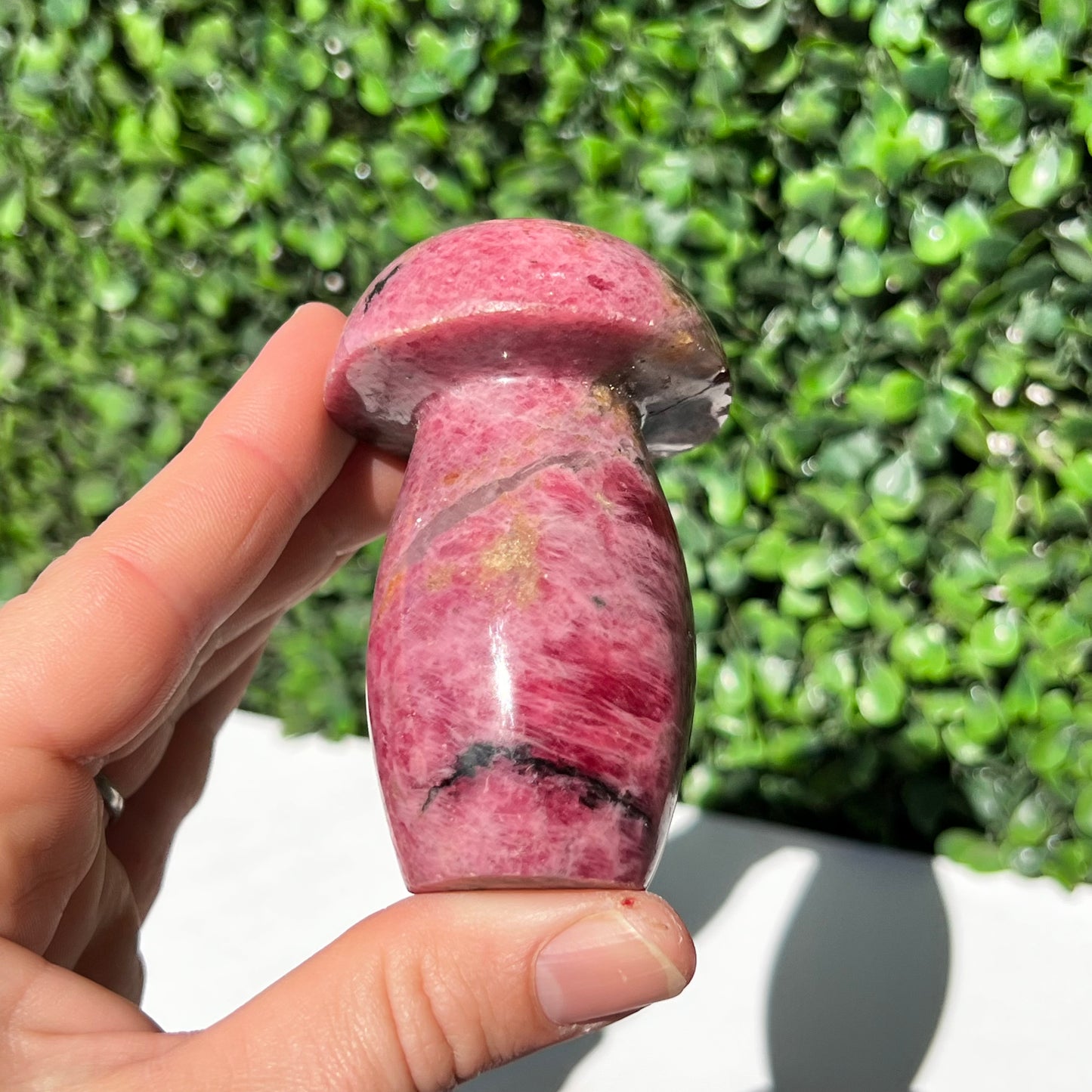 Rhodonite Mushroom