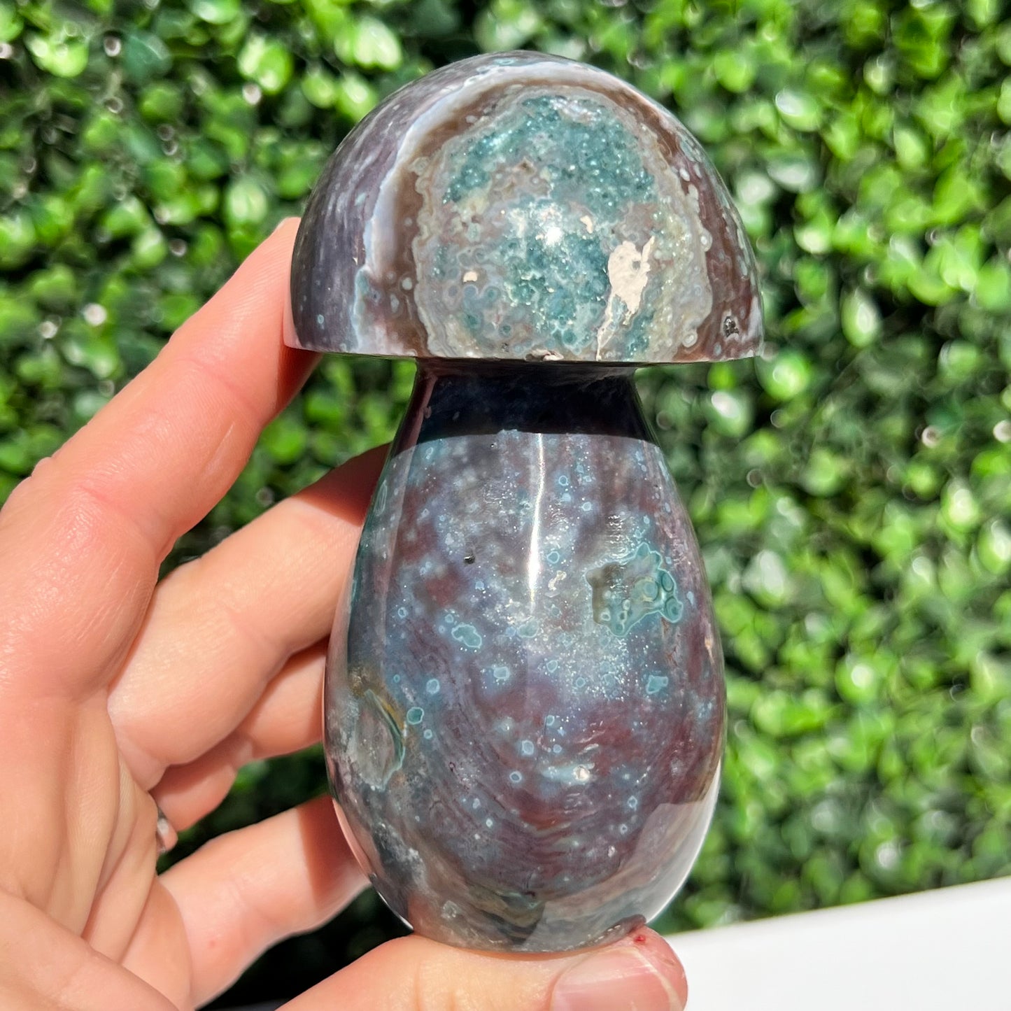 Ocean Jasper Mushroom