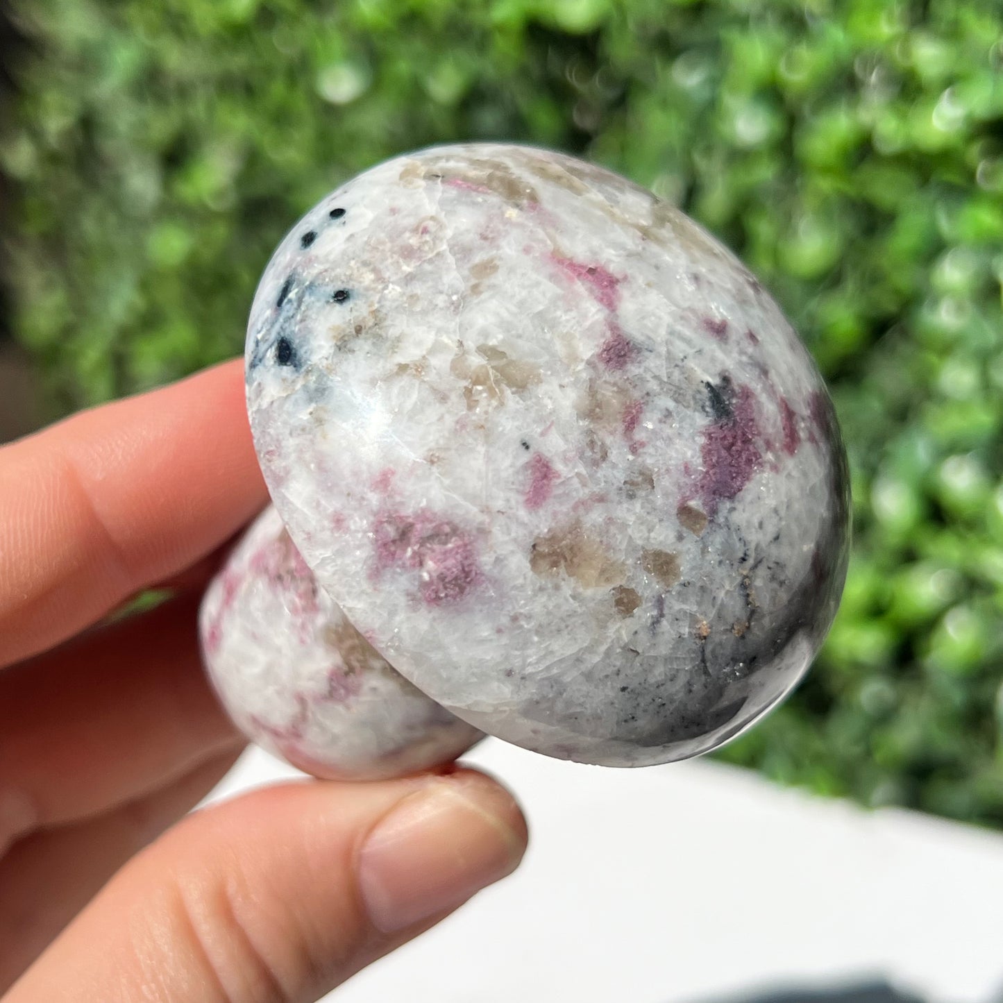 Eudialyte Mushroom