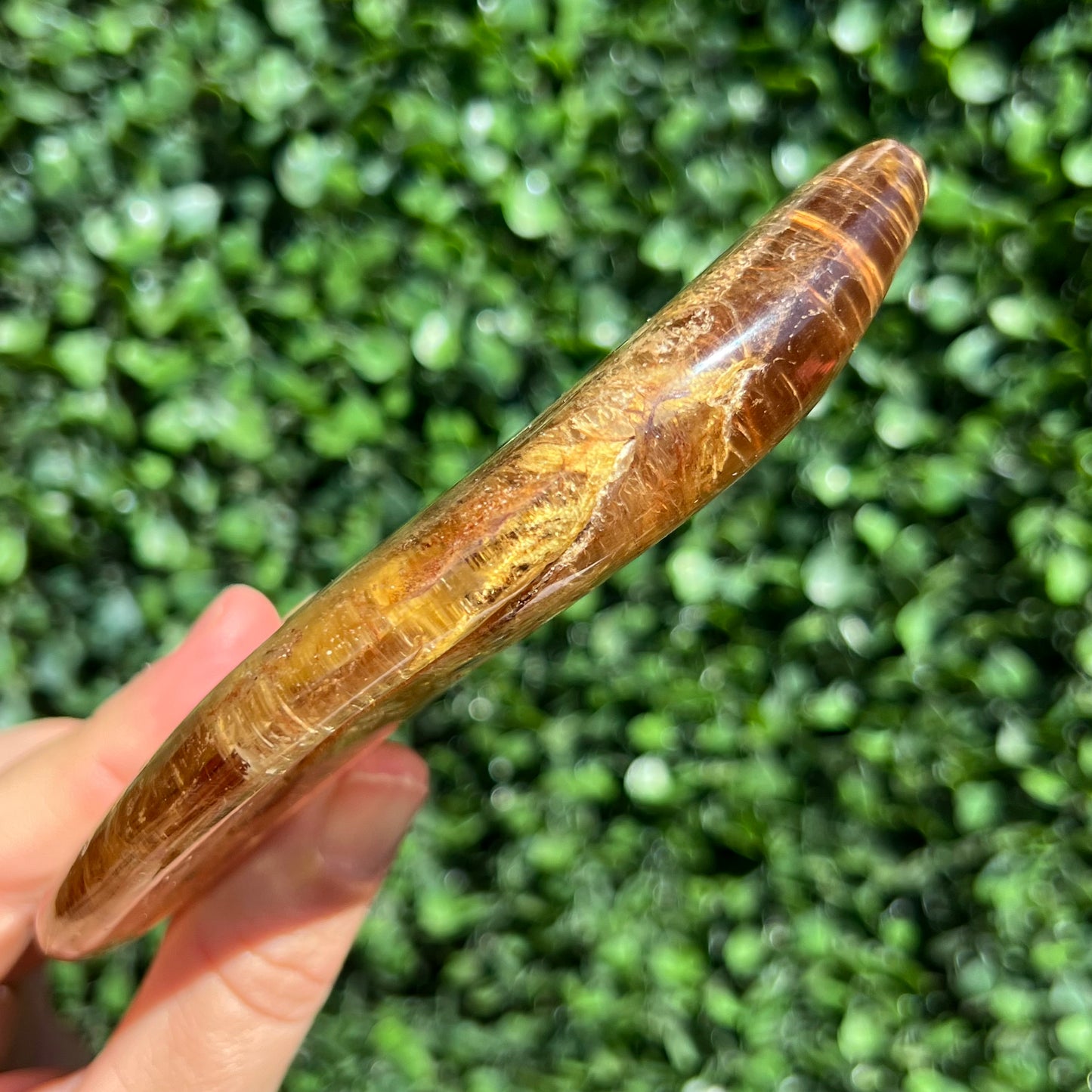 COPAL AMBER RARE SPECIMEN