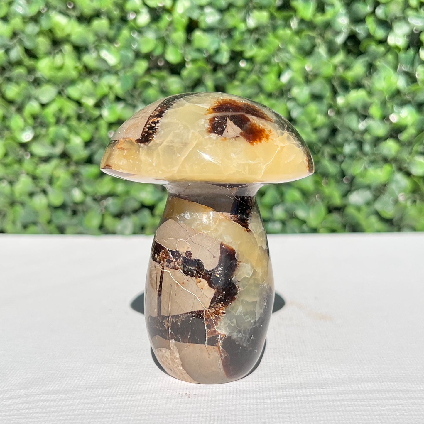 Septarian Yellow Calcite Mushroom
