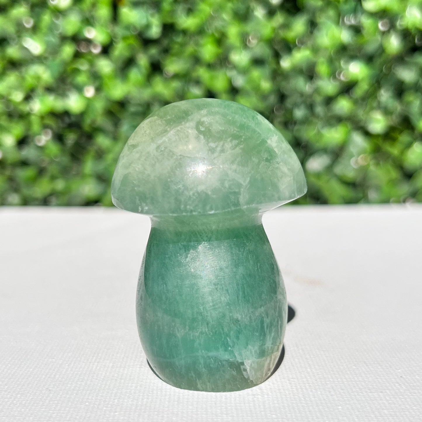 Fluorite Mushroom